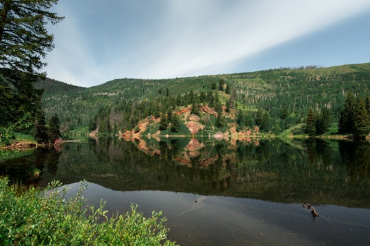 body of water near green trees at daytime in Lower Cataract Lake United States