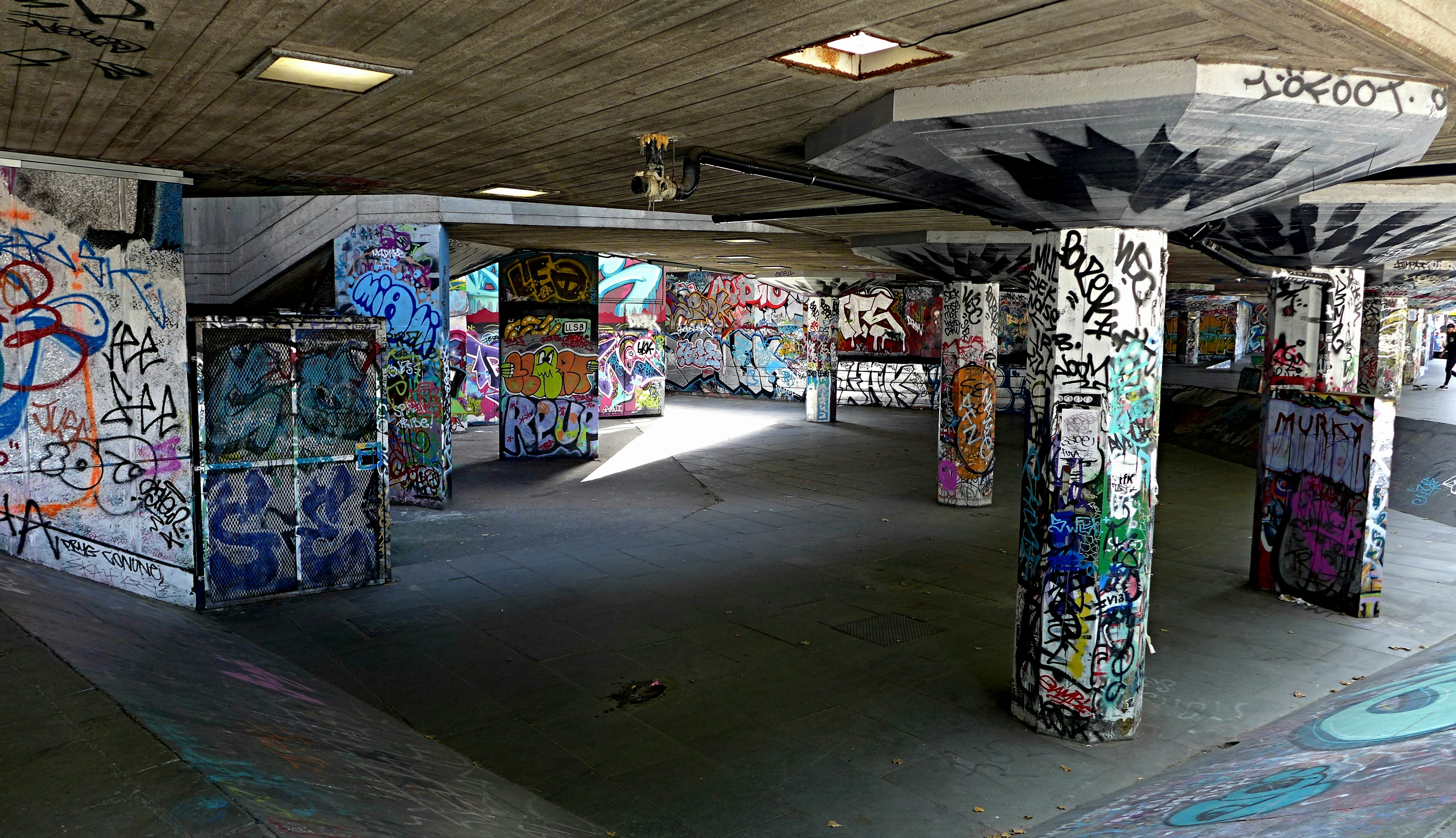 Free Unsplash photo from Steve Kersys