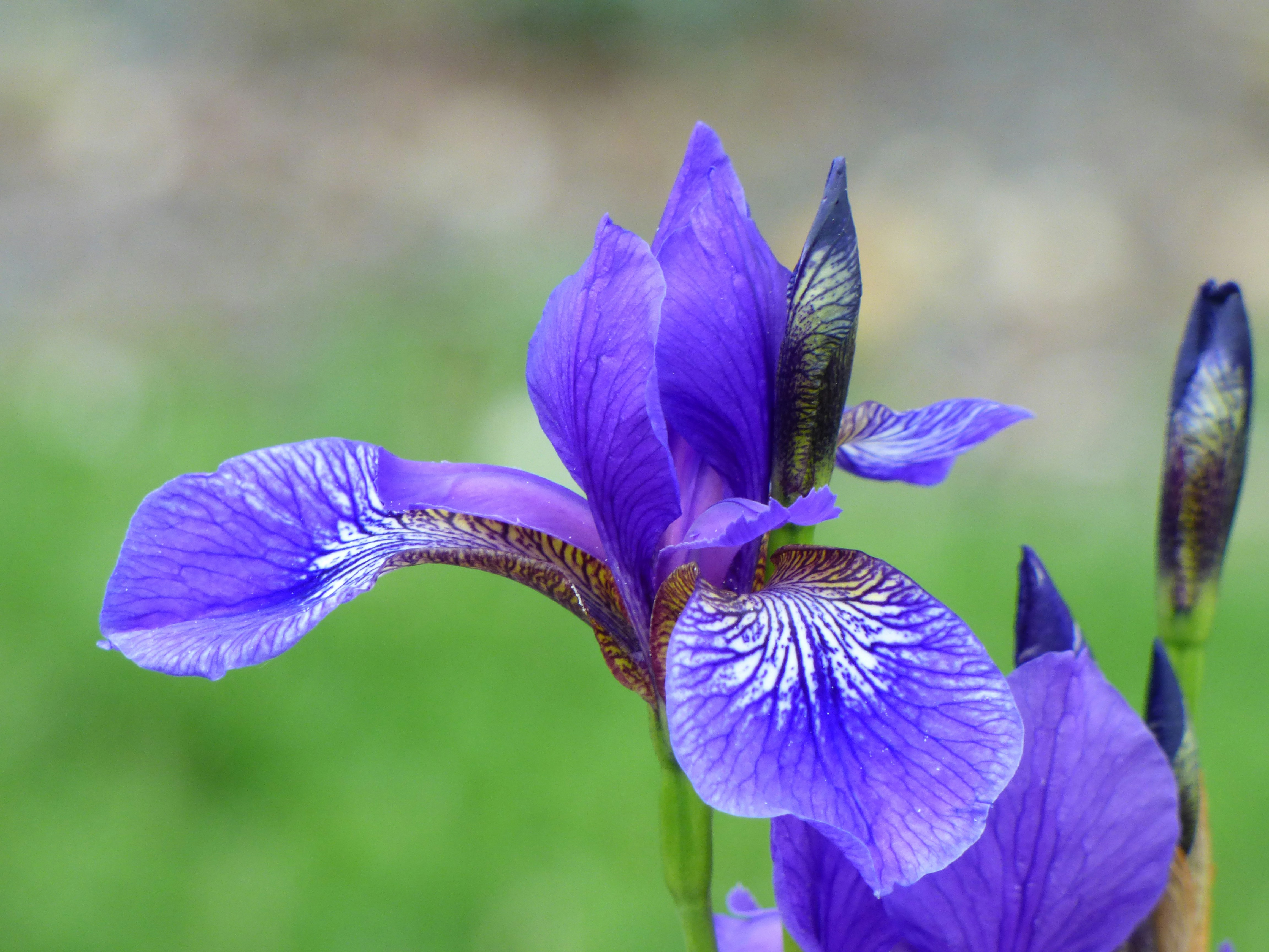 Free Unsplash photo from Marie DARAGON