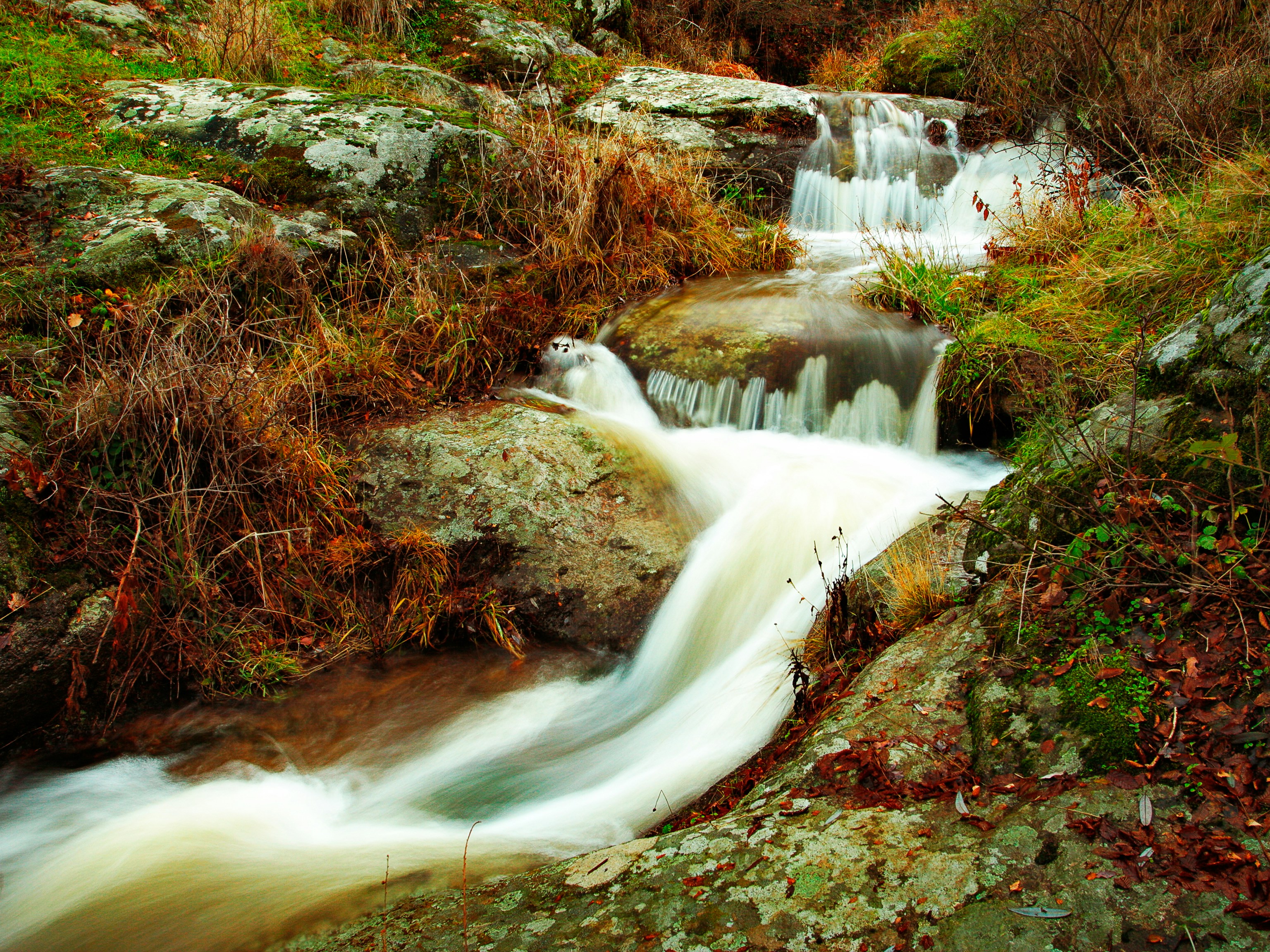 Free Unsplash photo from Hilmi Masrafchi