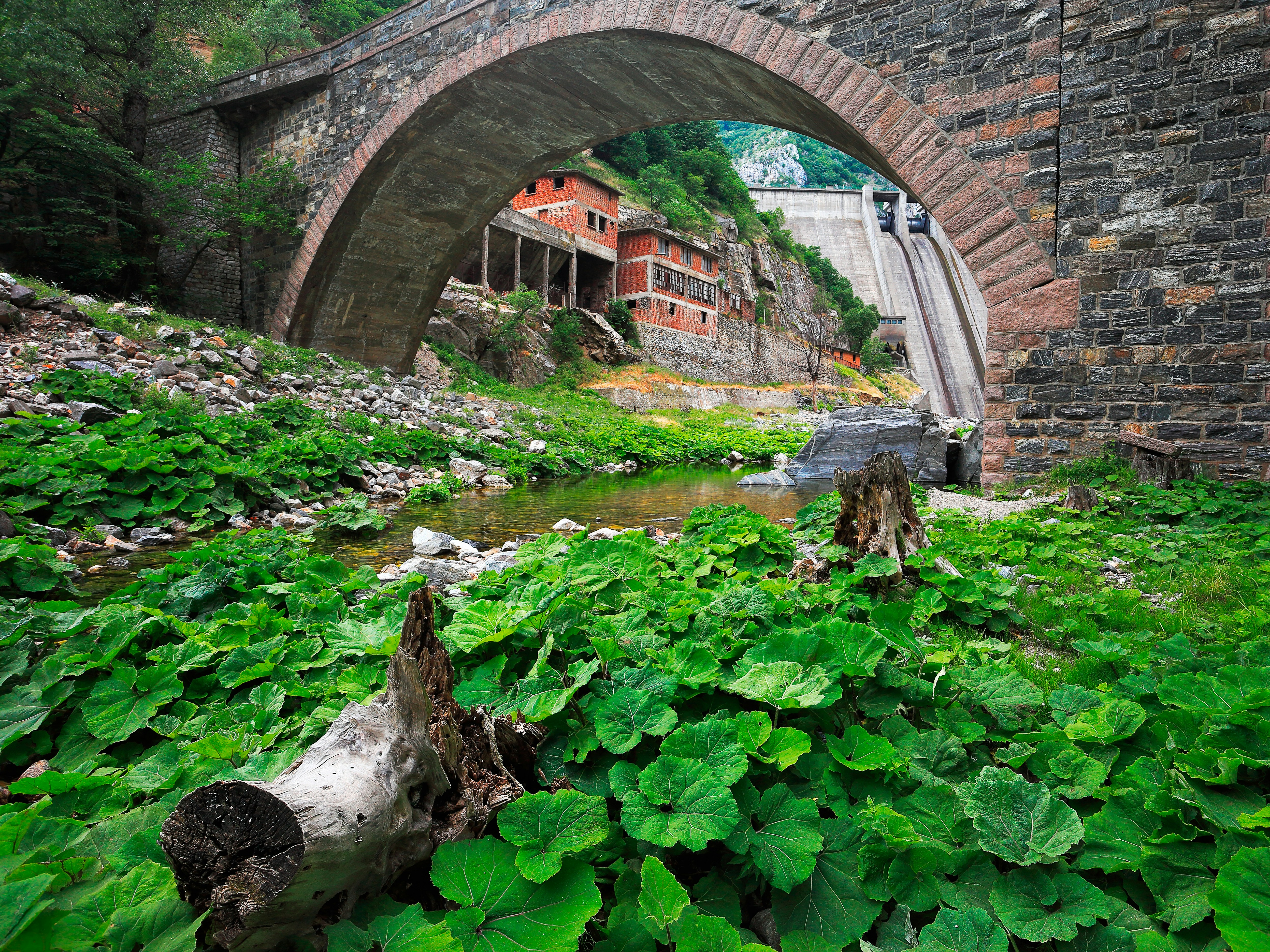 Free Unsplash photo from Hilmi Masrafchi