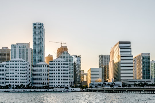 white concrete buildings near body of water at daytime in Miami United States