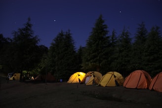 Several brightly colored tents are pitched on a grassy field surrounded by tall coniferous trees under a starry night sky. One of the tents is illuminated from within, casting a warm glow that contrasts with the dark silhouettes of the trees.