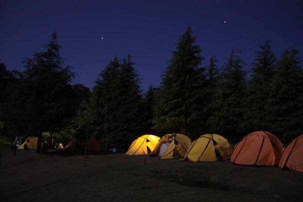 A set of colorful camping tents pitched on a grassy field under a starry night sky.