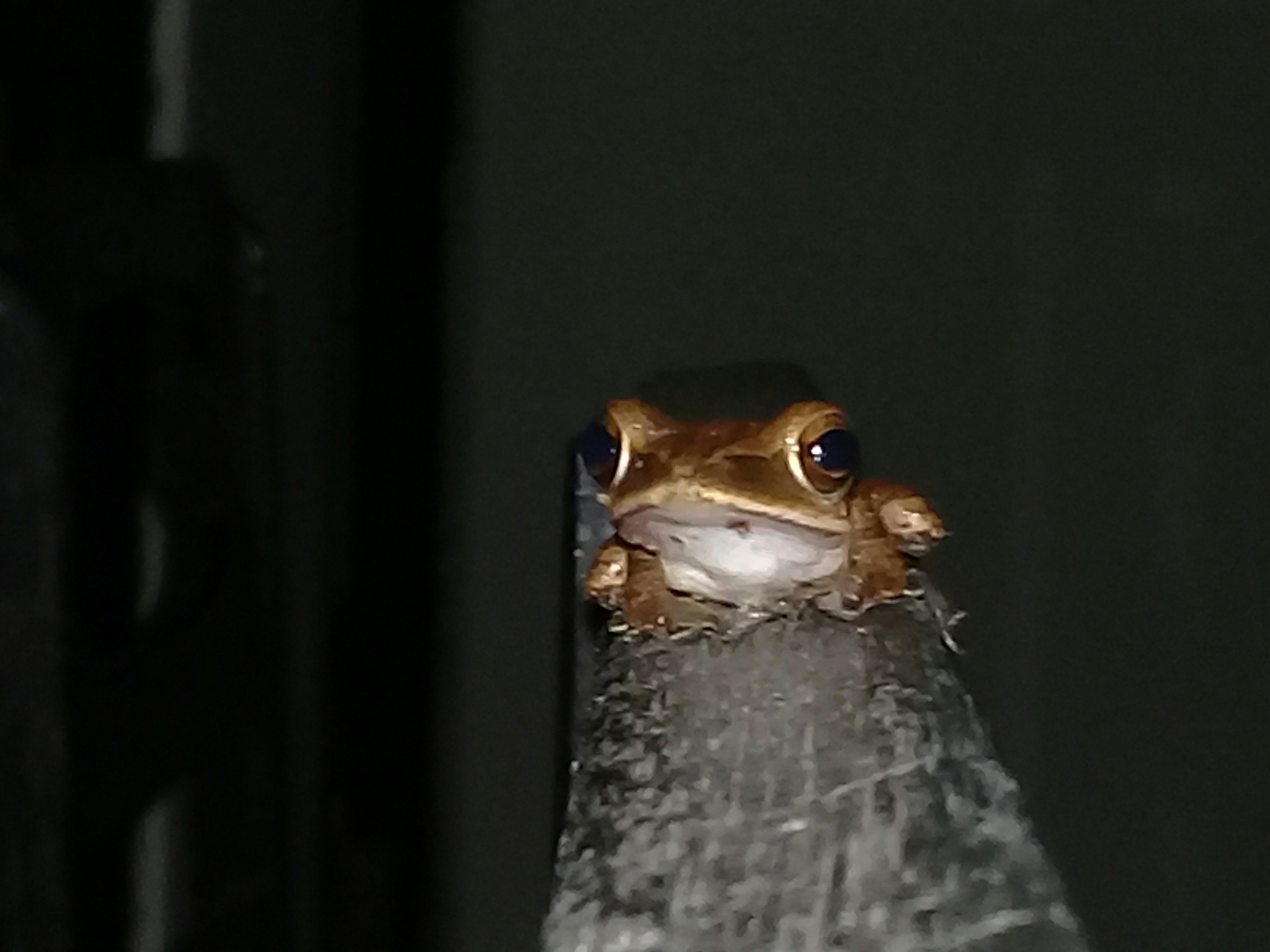 Free Unsplash photo from desi arliyanti