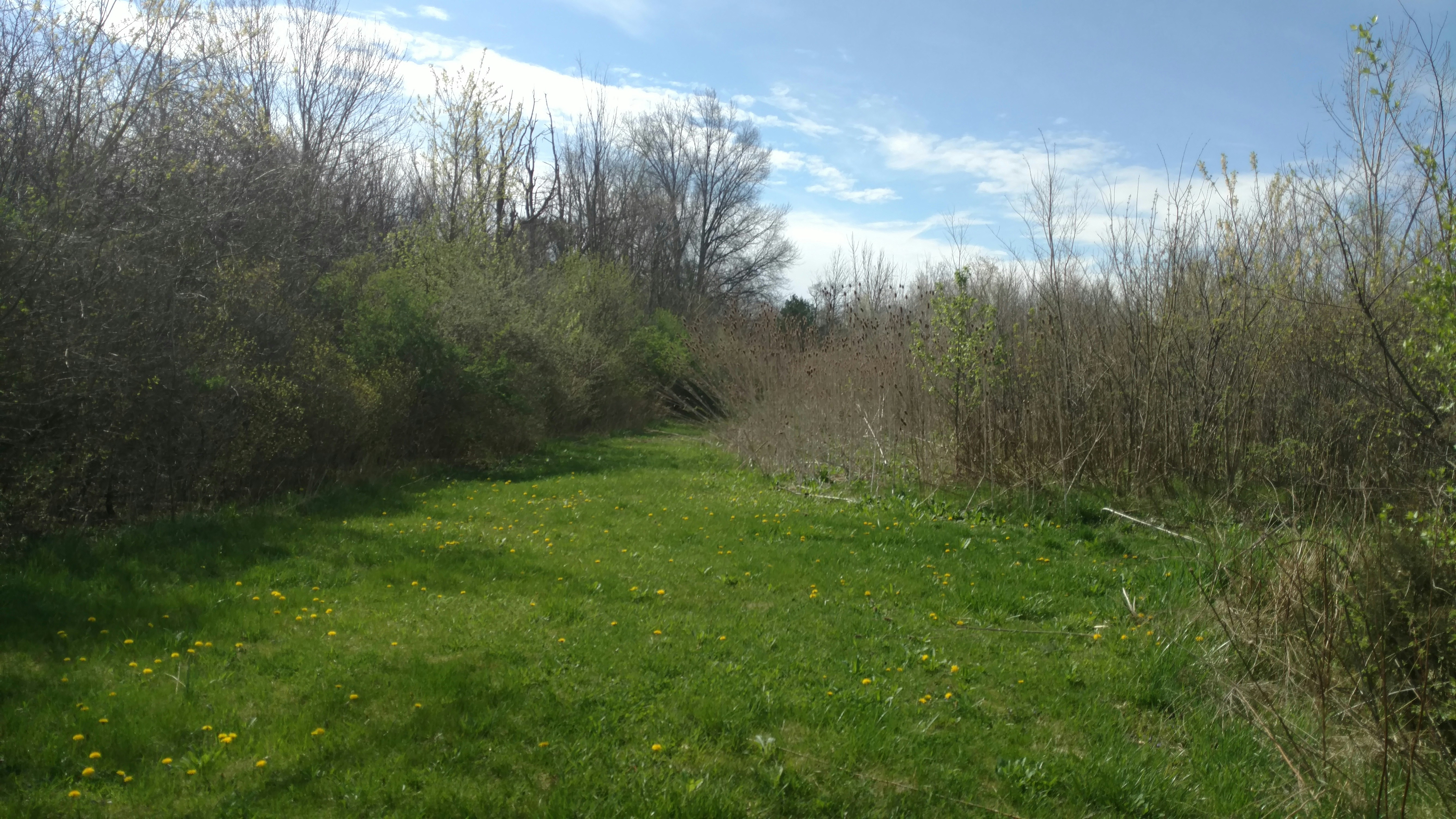 Free Unsplash photo from Tanner Spaw