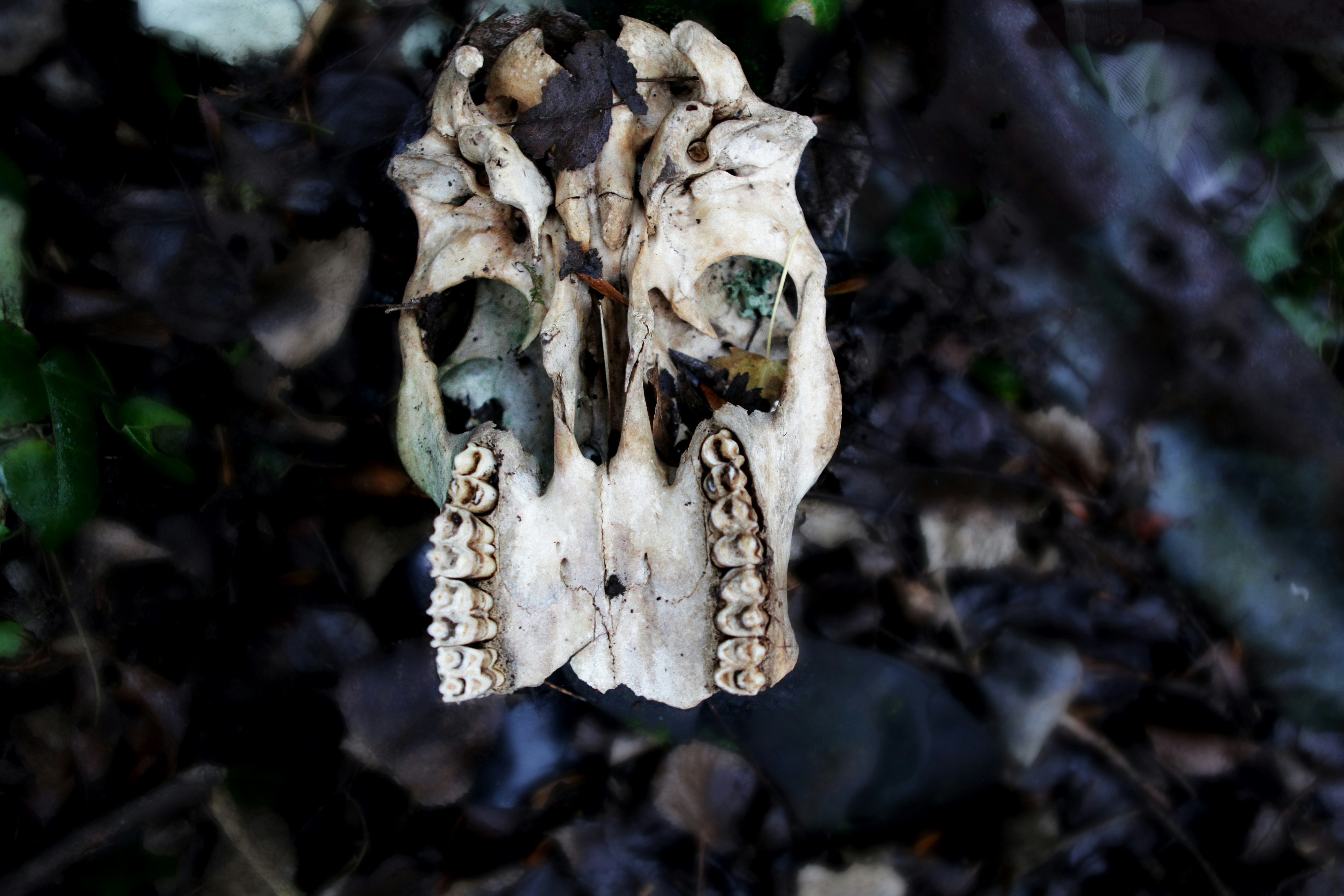 Free Unsplash photo from Jenny Egan