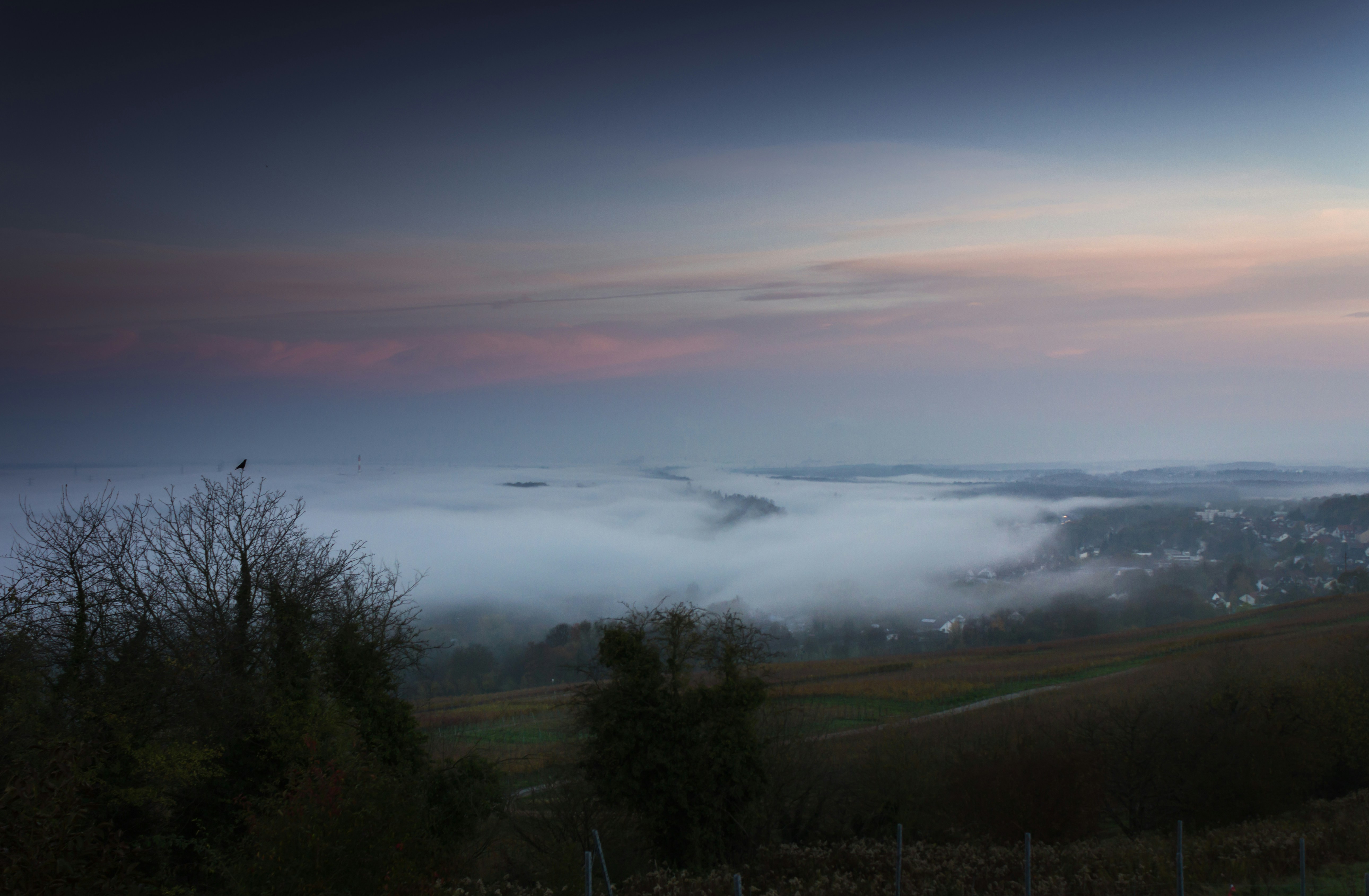 Free Unsplash photo from Patrick Schöpflin