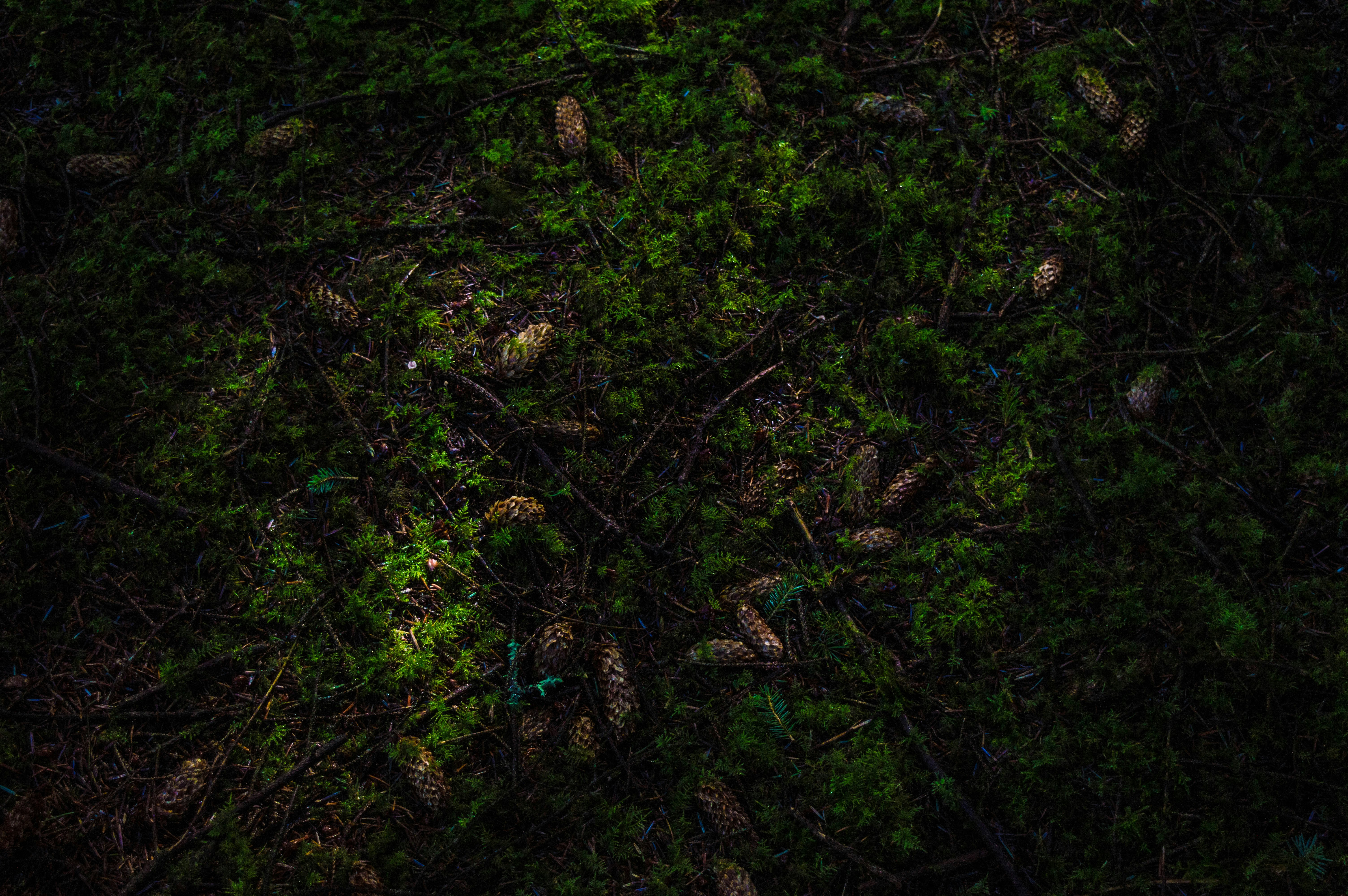 Free Unsplash photo from Jacek Malinowski