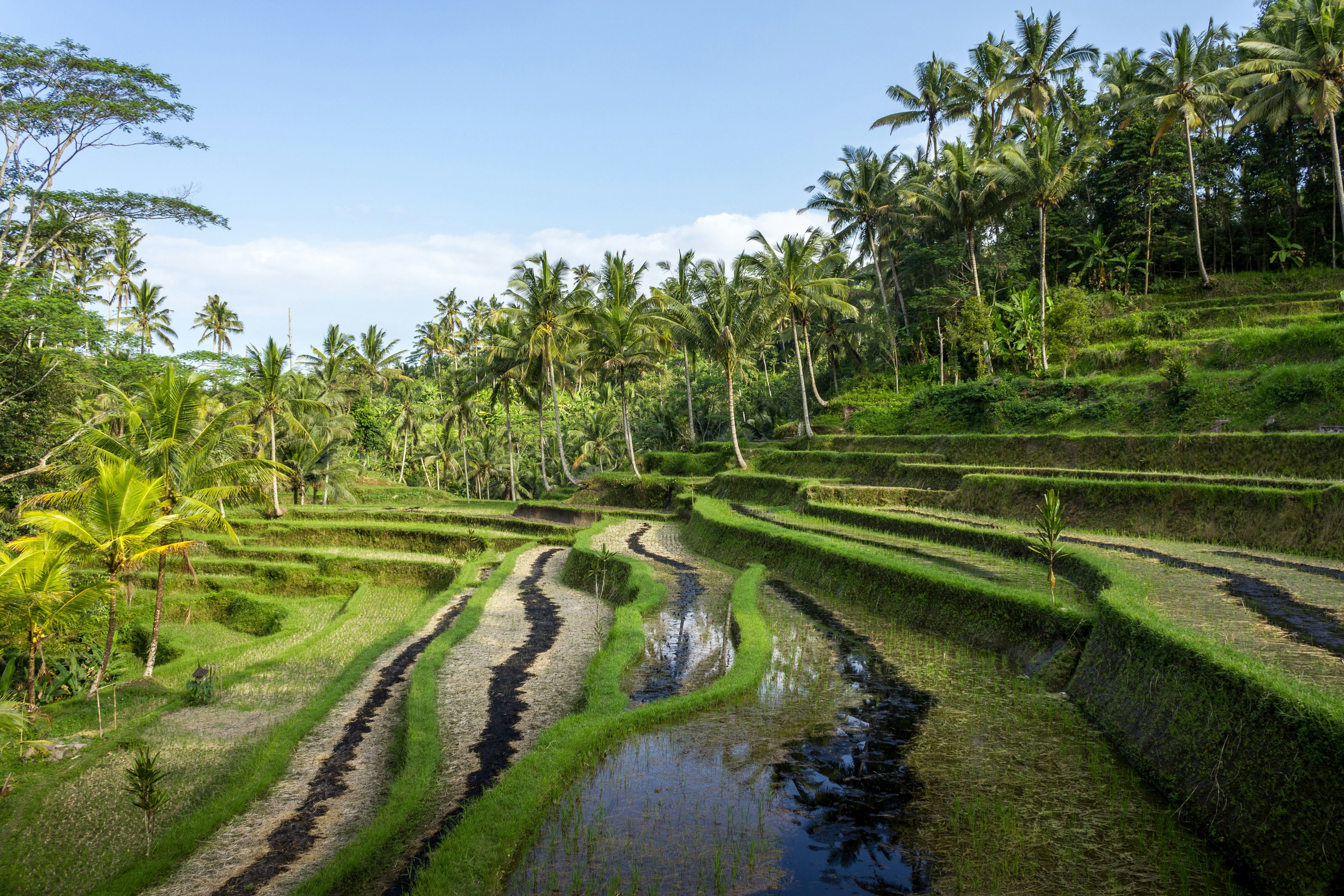 Free Unsplash photo from Patrick Schöpflin