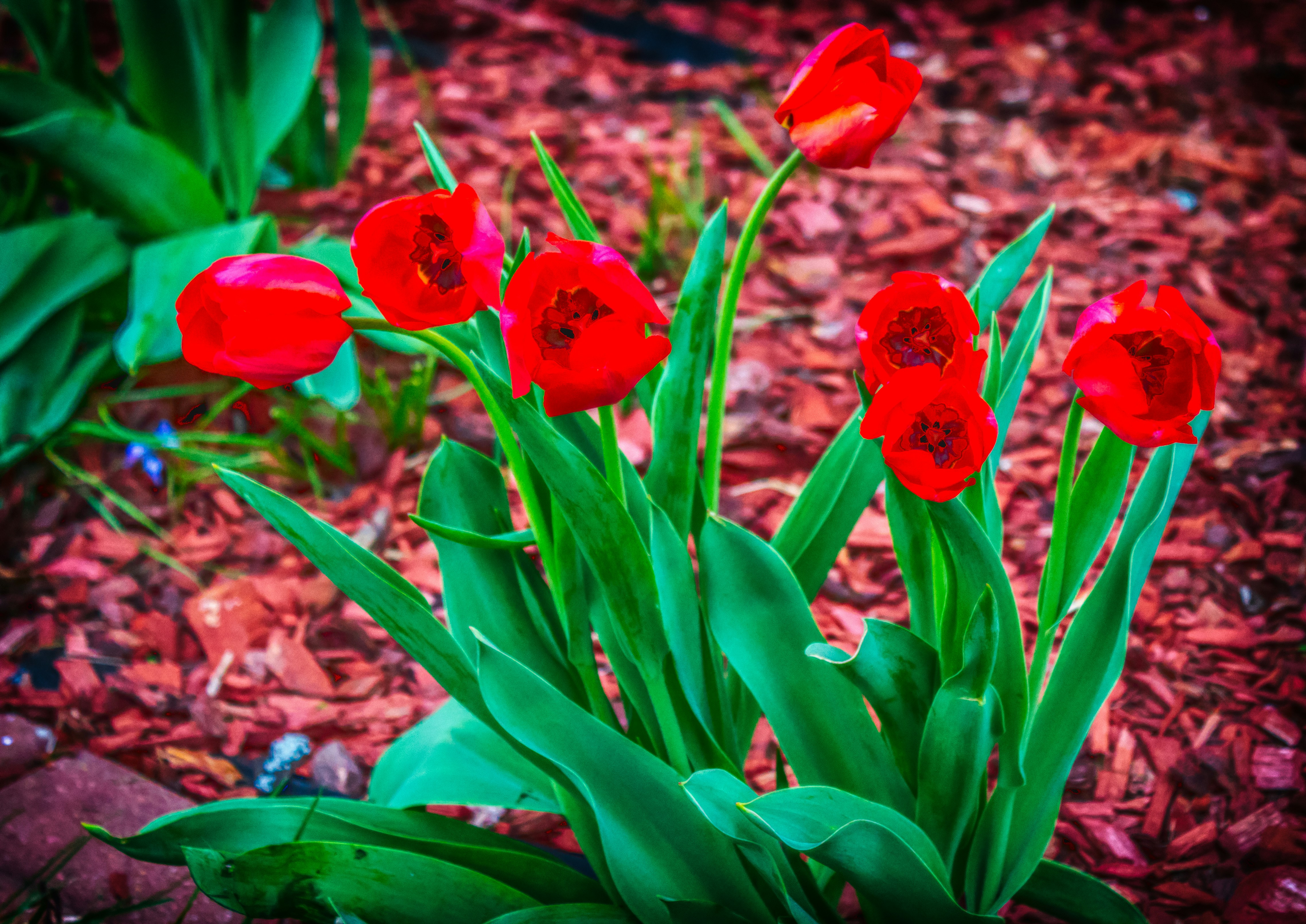 Free Unsplash photo from Eric Hurlburt