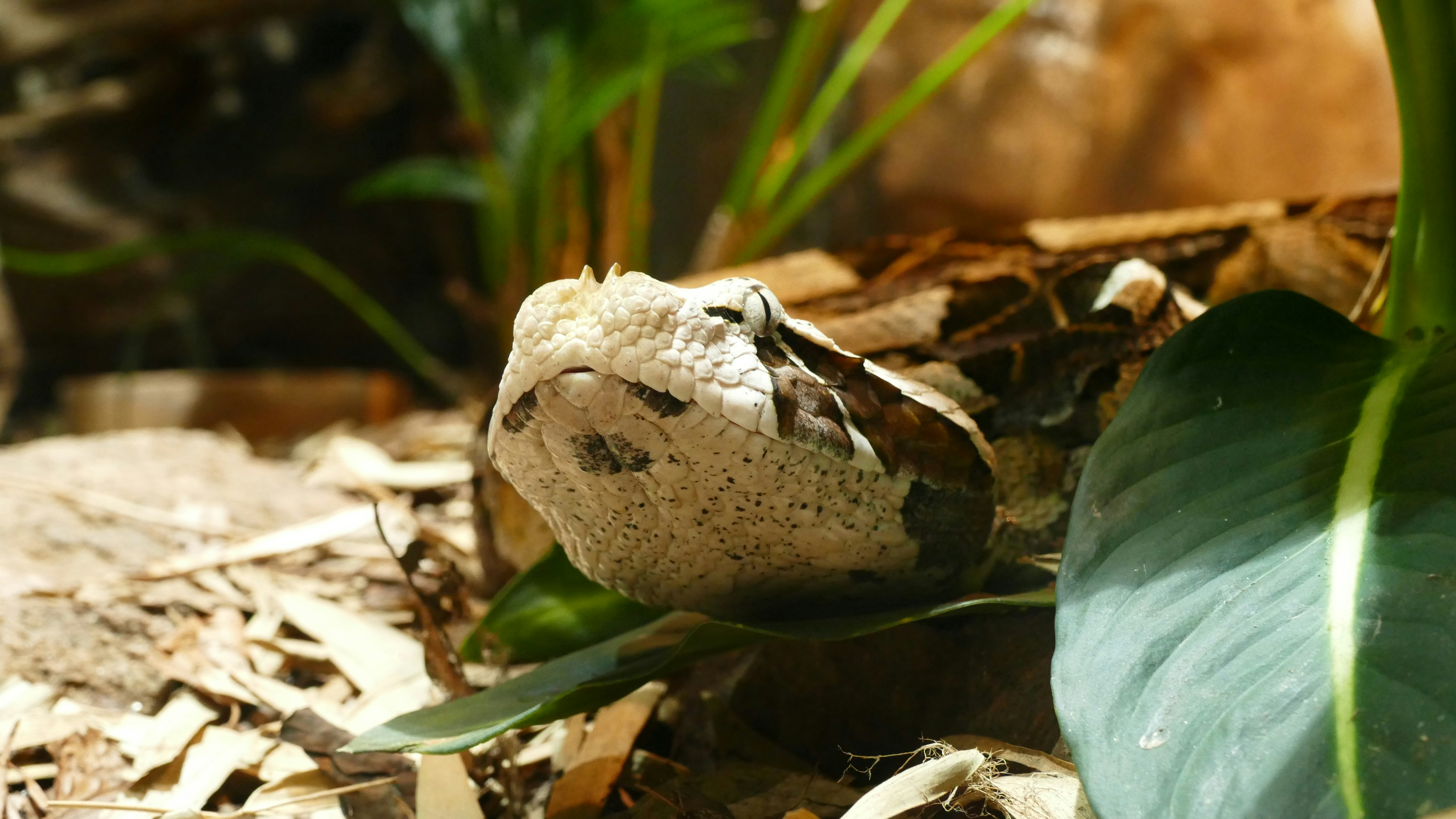 Free Unsplash photo from Marcus Lange