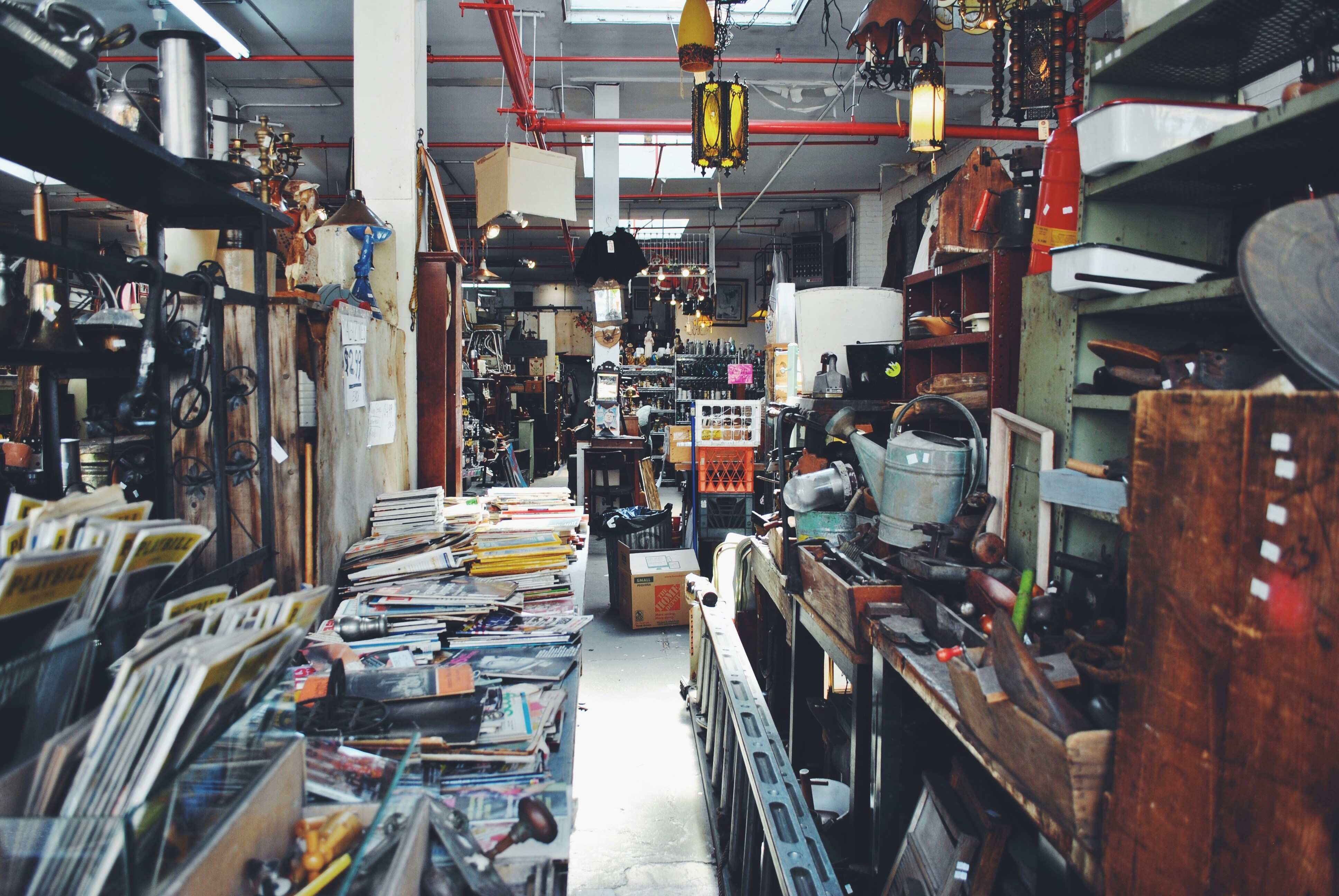 Free Unsplash photo from Becky Phan