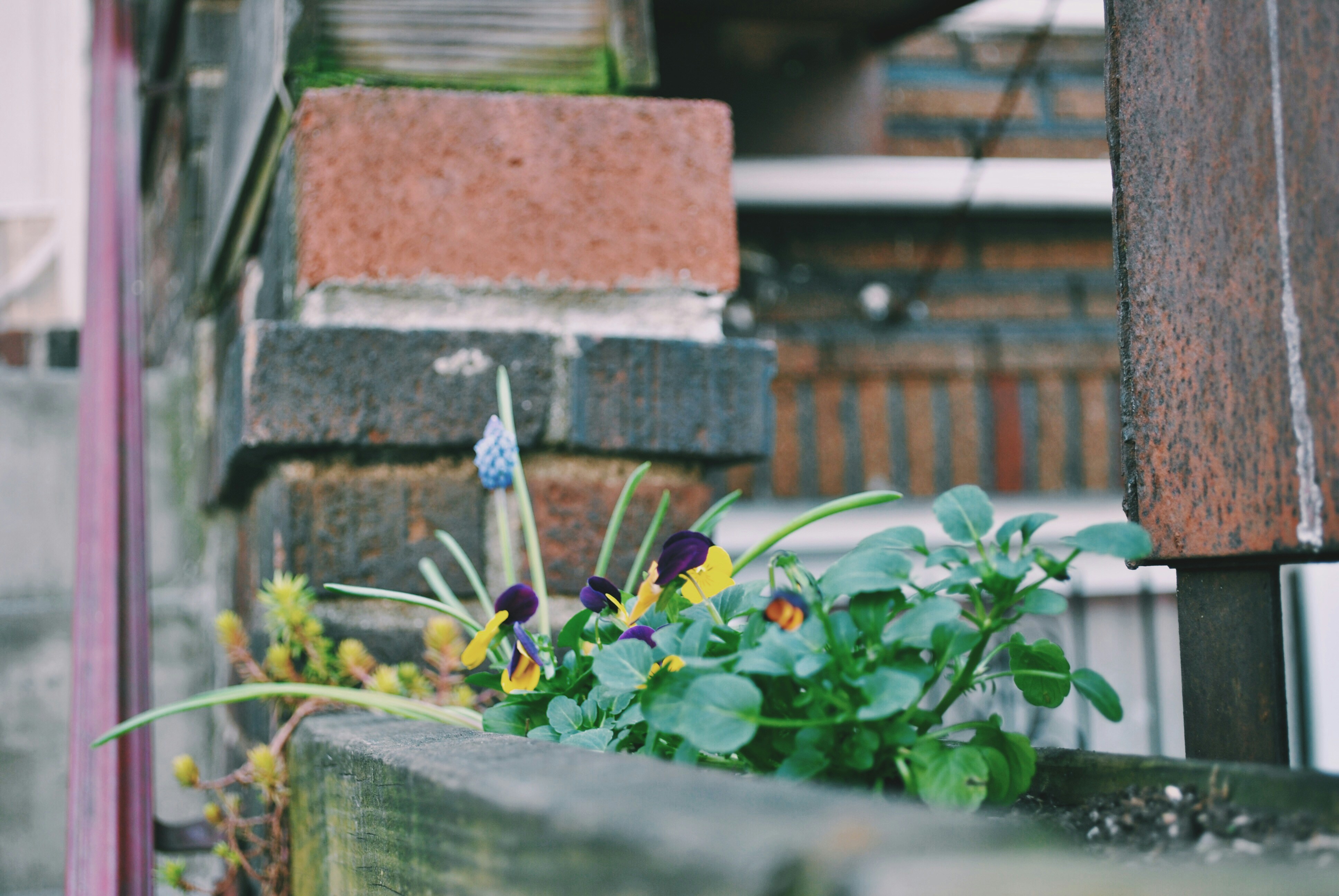 Free Unsplash photo from Becky Phan