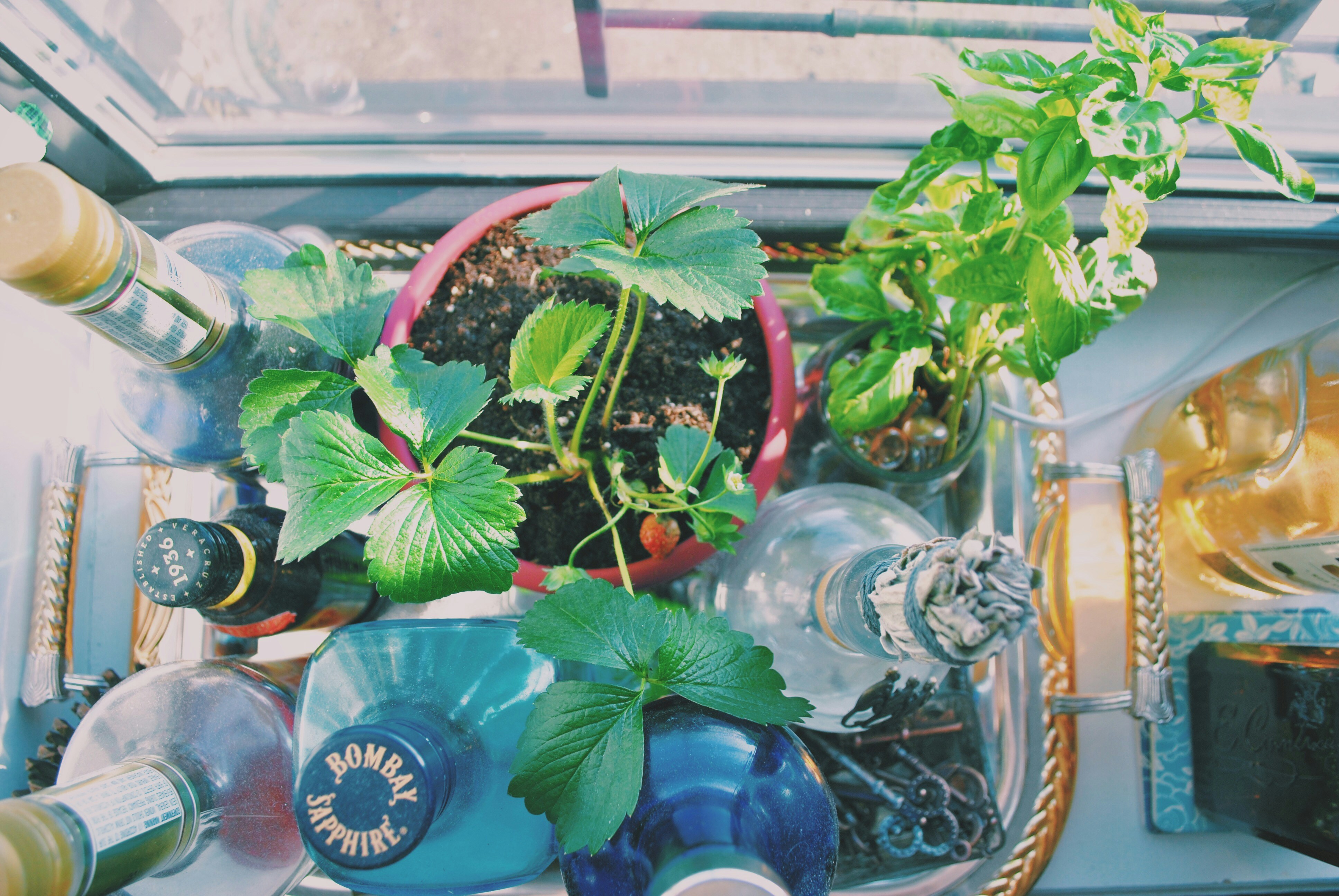 Free Unsplash photo from Becky Phan