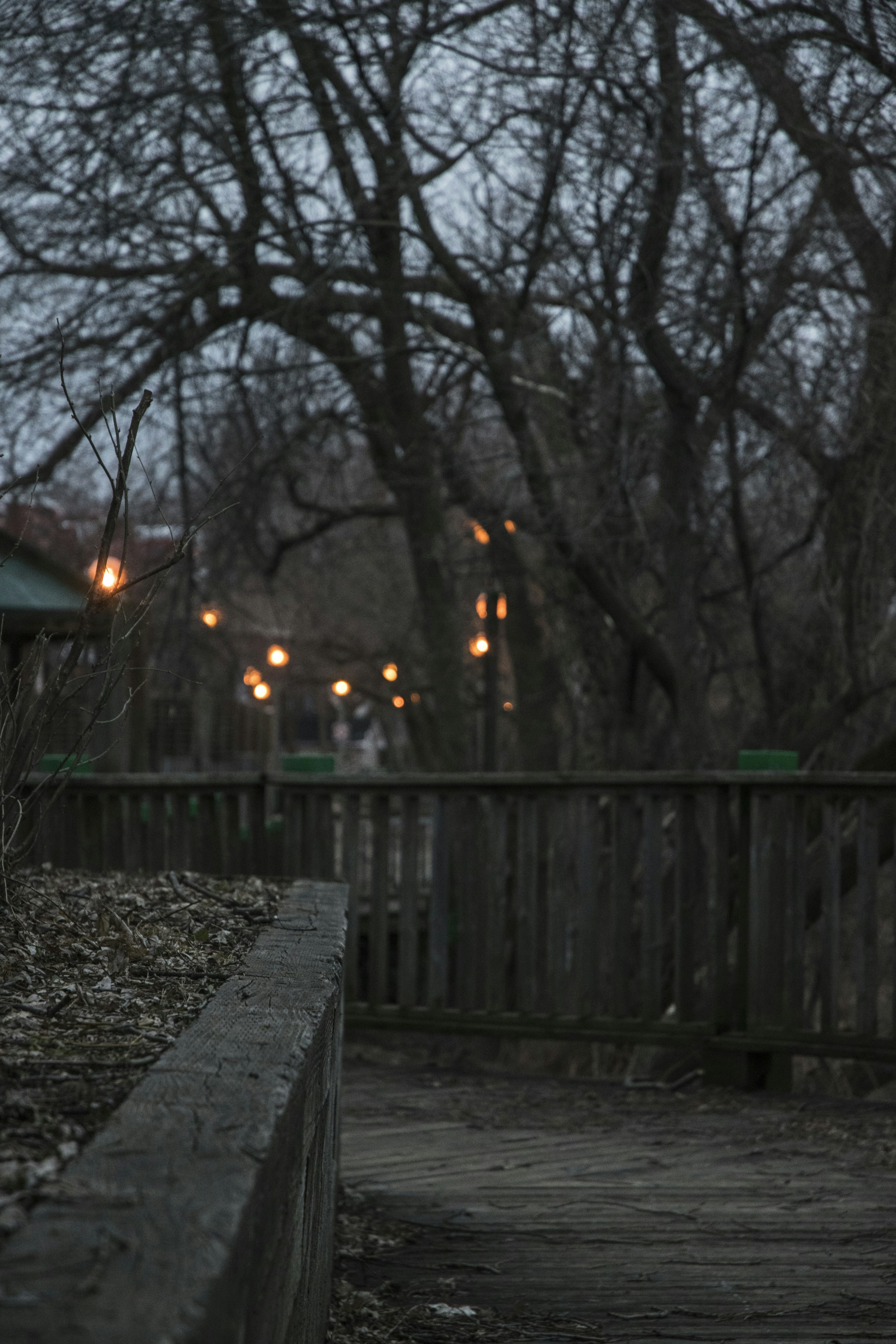 Free Unsplash photo from Ryan Oswick