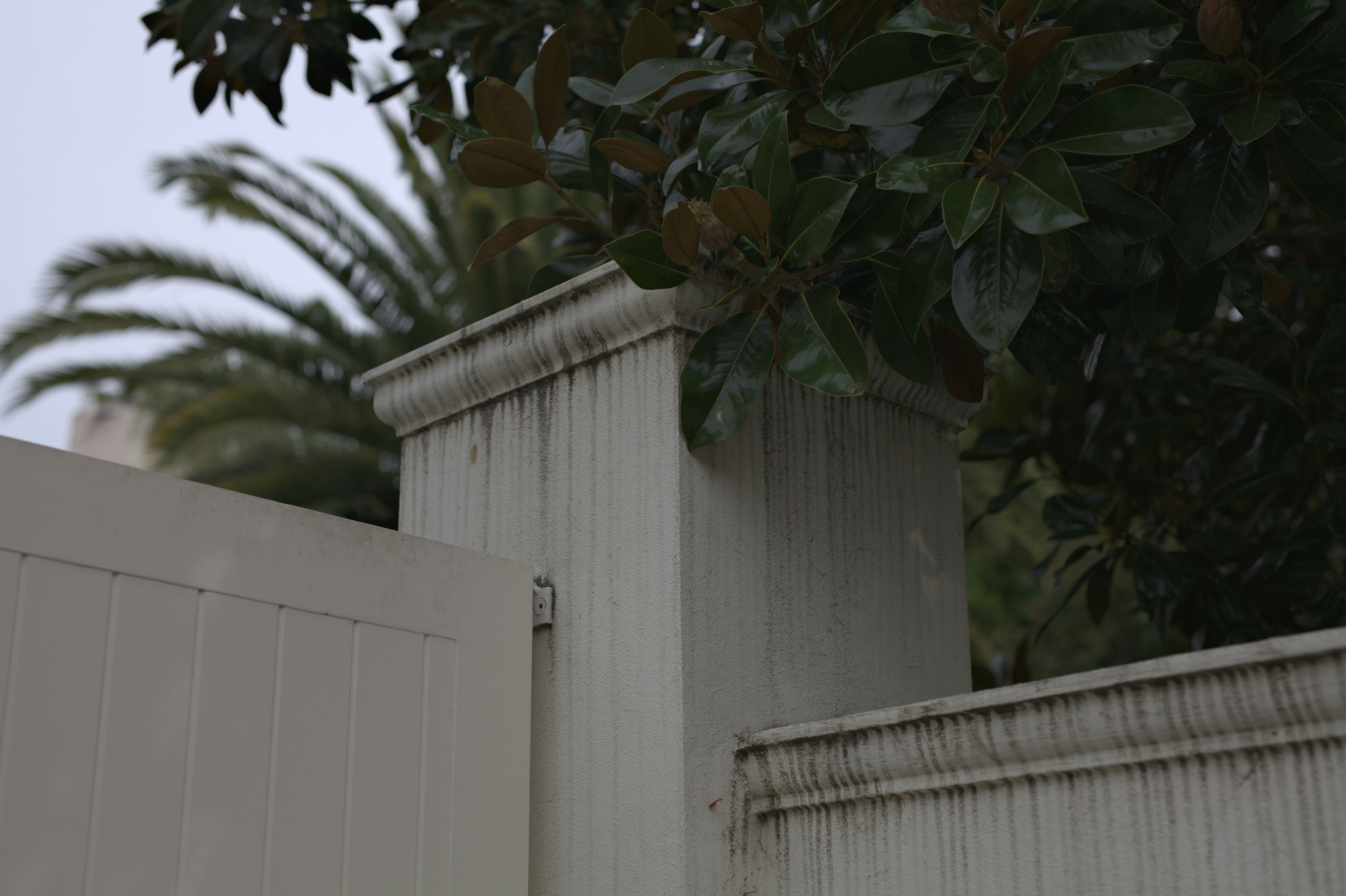 Free Unsplash photo from Alexander Possingham