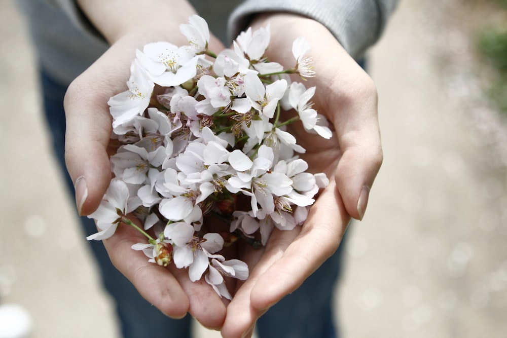 photographie de mise au point sélective d'une personne tenant des fleurs blanches en grappes