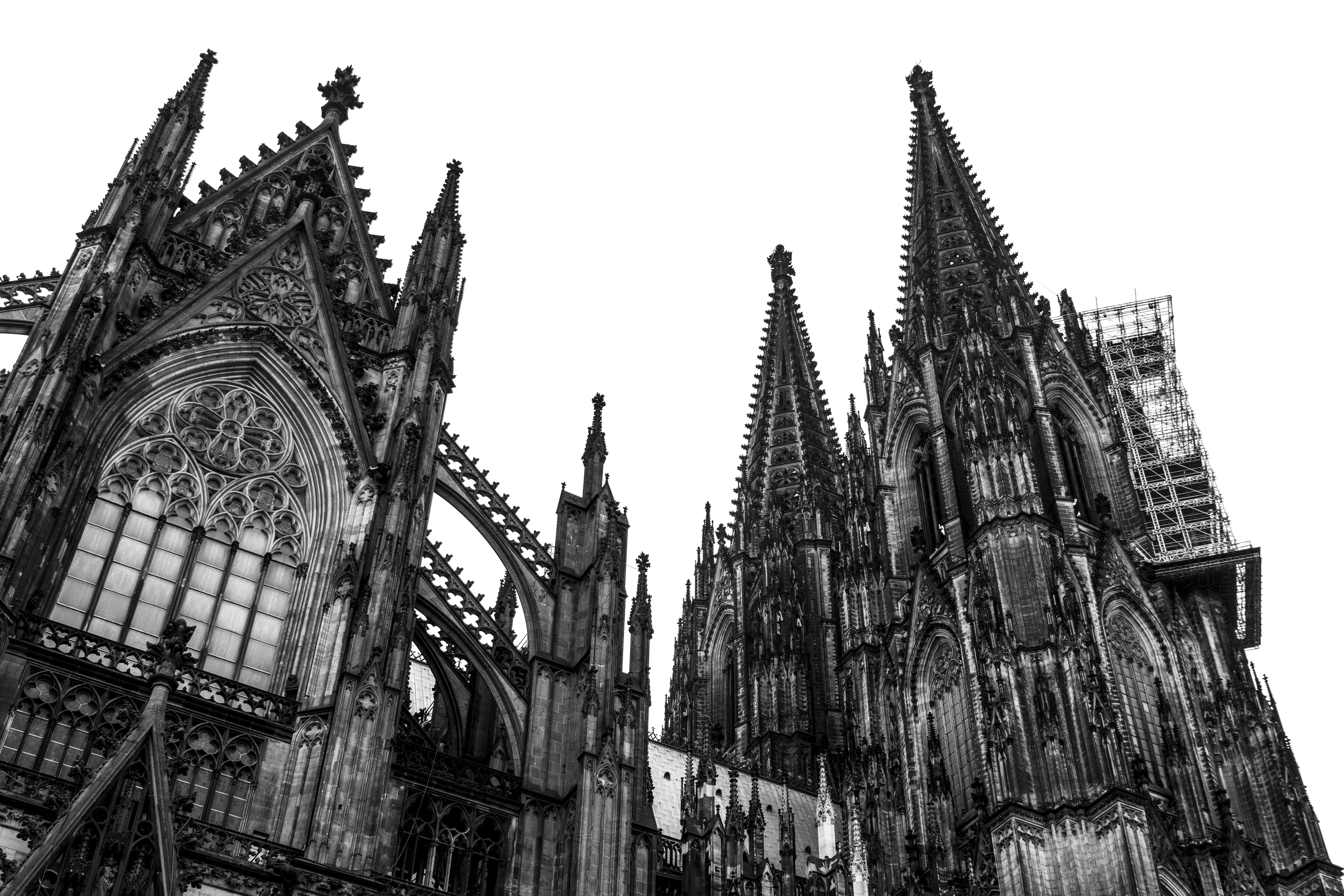 Free Unsplash photo from Mehrdad Haghighi