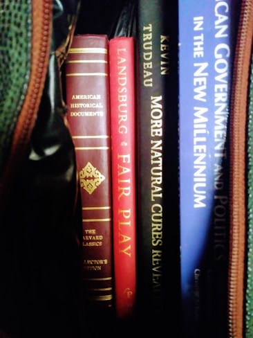 A collection of books is visible with titles such as 'American Historical Documents', 'Fair Play', 'More Natural Cures Revealed', and parts of others. The books are neatly lined up with various colored spines, including red, black, and blue.