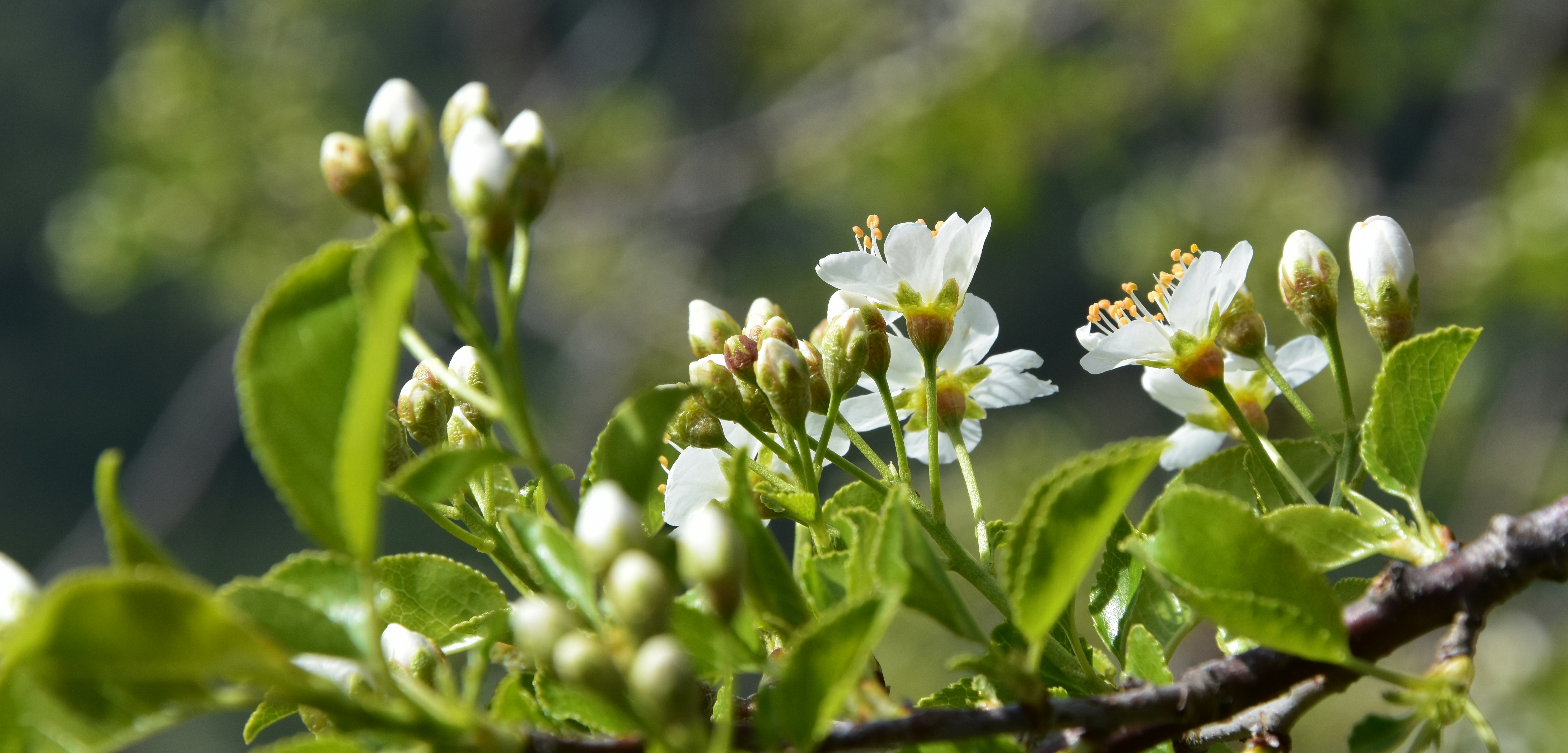 Free Unsplash photo from Medena Rosa