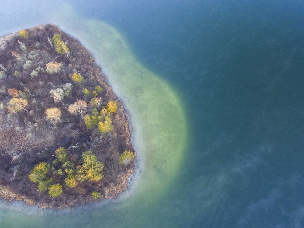 aerial photography of island