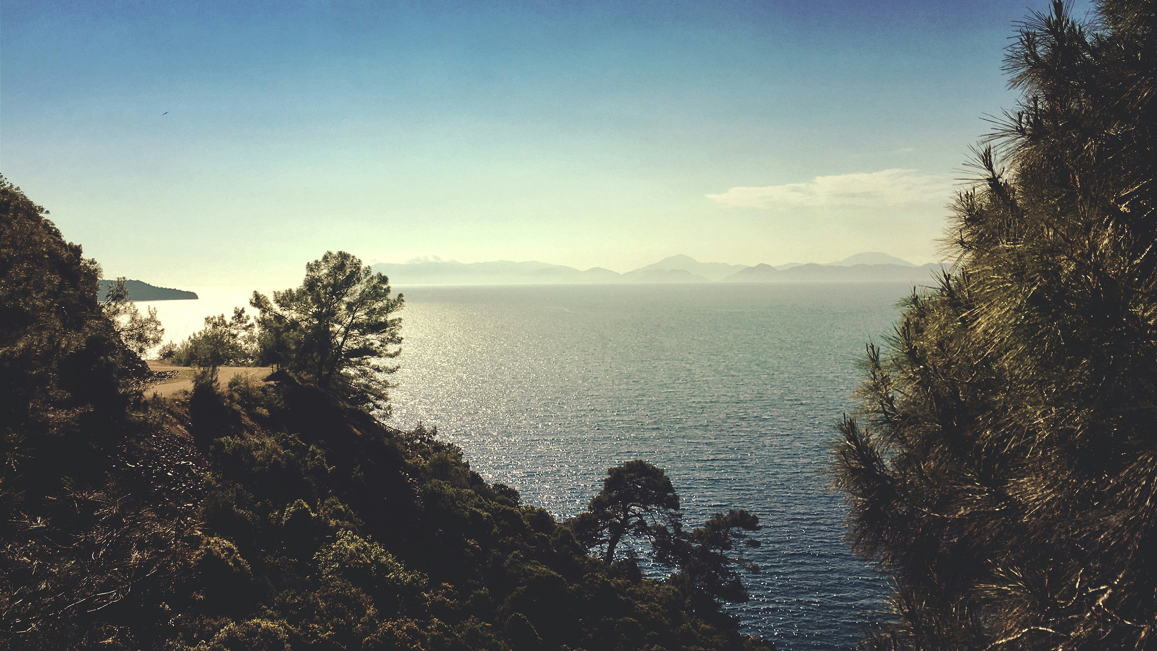 Free Unsplash photo from Melih Gönenli