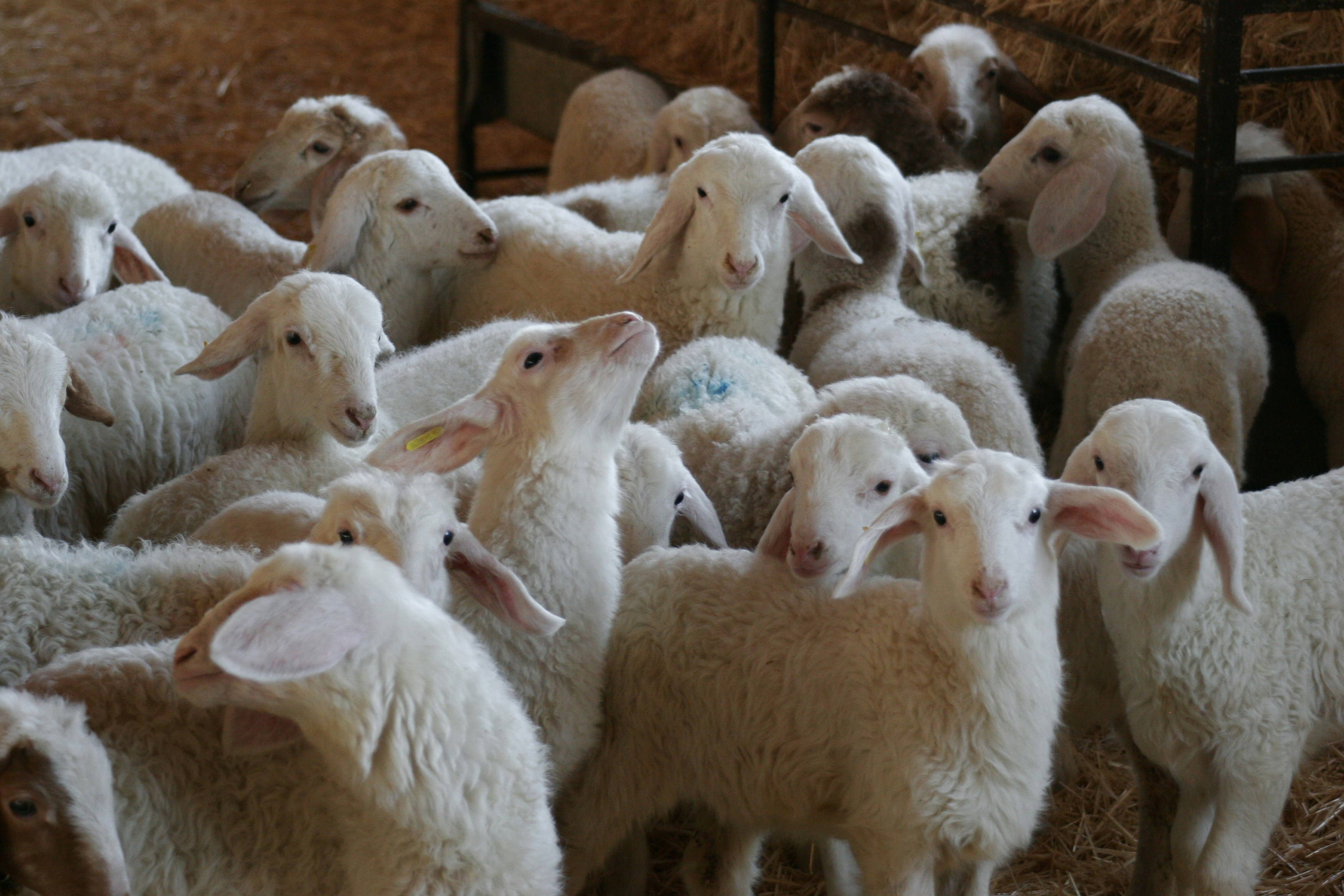 Free Unsplash photo from David Garrido