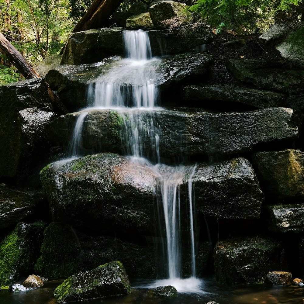 close view of waterfall between forest