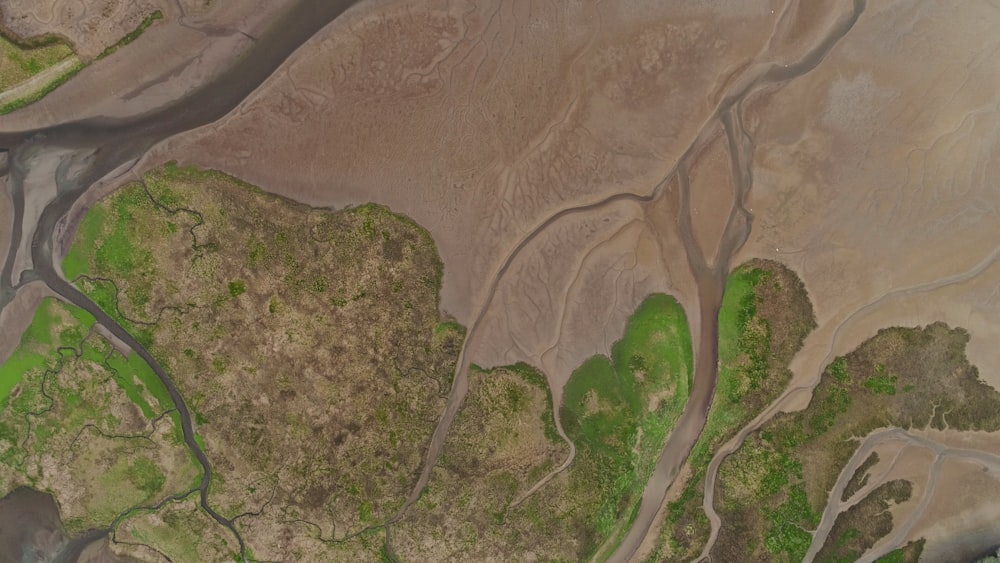 A drone shot of a marsh in a river estuary in the Discovery Bay