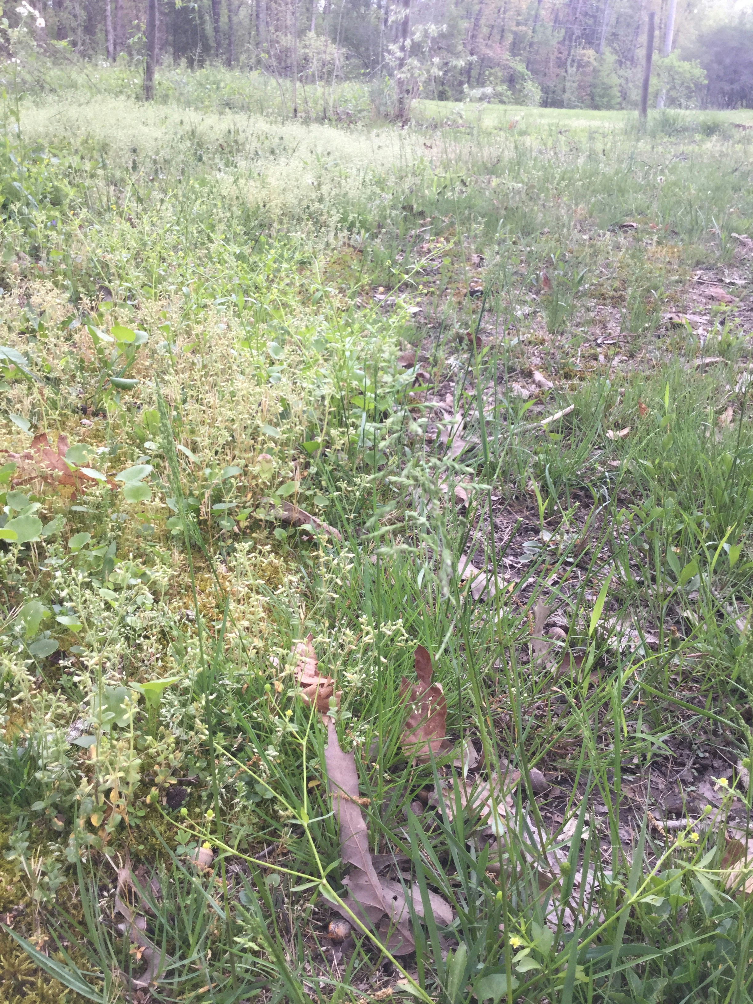 Free Unsplash photo from Mel Pirkle