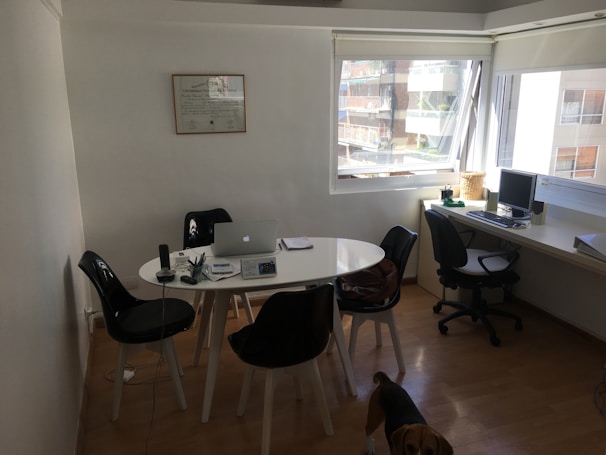 A small office space contains a white round table with several black chairs around it. On the table, there is a laptop, some papers, pens, and a microphone. On the side, a desk with a computer and a telephone is placed near a large window that lets in natural light. A diploma or certificate is framed on the wall. A dog is partially visible at the bottom of the image.
