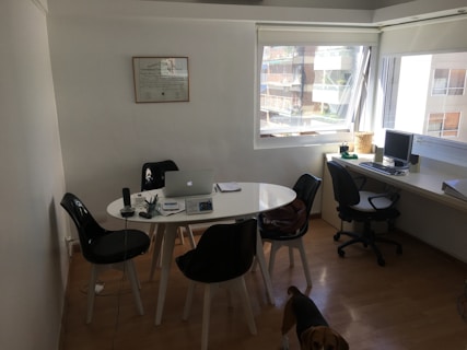 A small office space contains a white round table with several black chairs around it. On the table, there is a laptop, some papers, pens, and a microphone. On the side, a desk with a computer and a telephone is placed near a large window that lets in natural light. A diploma or certificate is framed on the wall. A dog is partially visible at the bottom of the image.