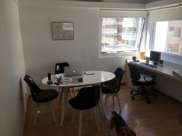 A small office space contains a white round table with several black chairs around it. On the table, there is a laptop, some papers, pens, and a microphone. On the side, a desk with a computer and a telephone is placed near a large window that lets in natural light. A diploma or certificate is framed on the wall. A dog is partially visible at the bottom of the image.