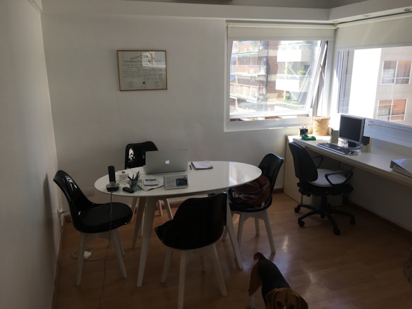 A small office space contains a white round table with several black chairs around it. On the table, there is a laptop, some papers, pens, and a microphone. On the side, a desk with a computer and a telephone is placed near a large window that lets in natural light. A diploma or certificate is framed on the wall. A dog is partially visible at the bottom of the image.