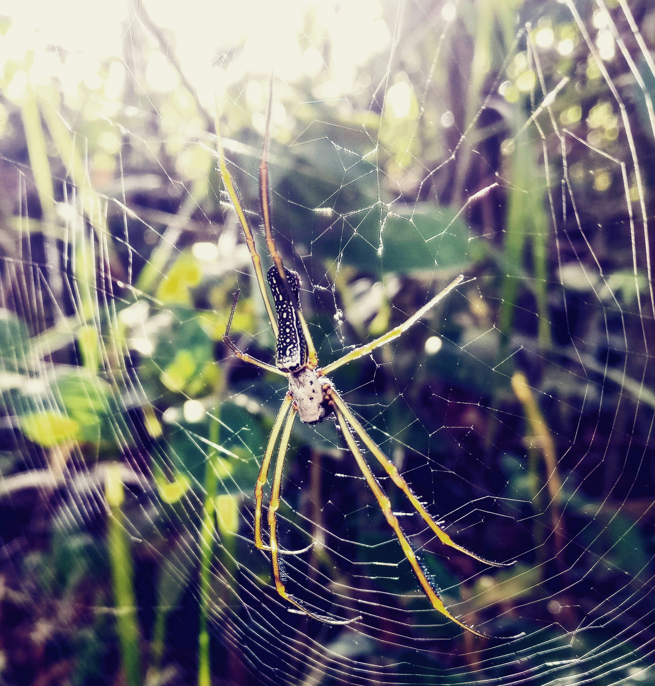 Free Unsplash photo from Álvaro Agap