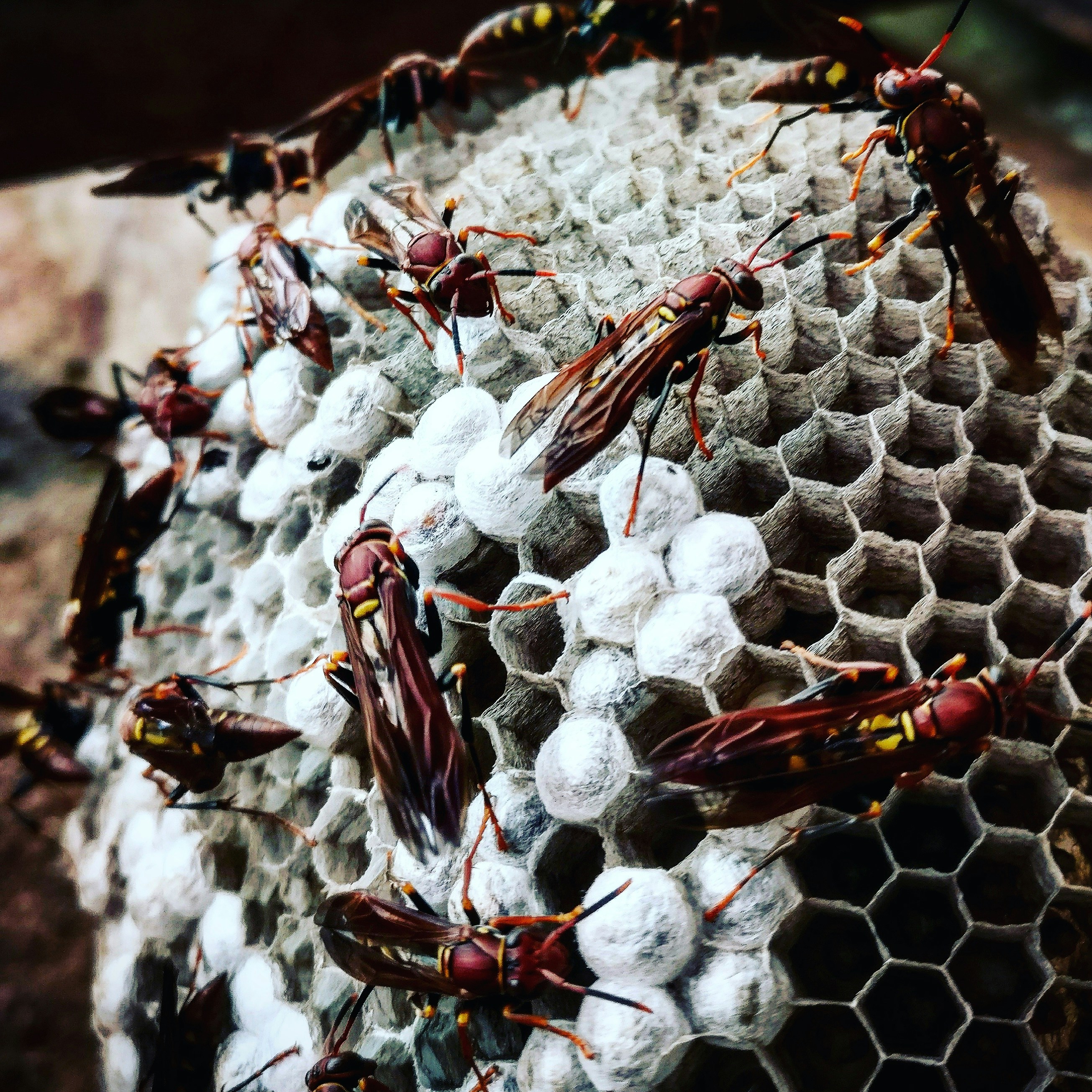 Free Unsplash photo from Álvaro Agap