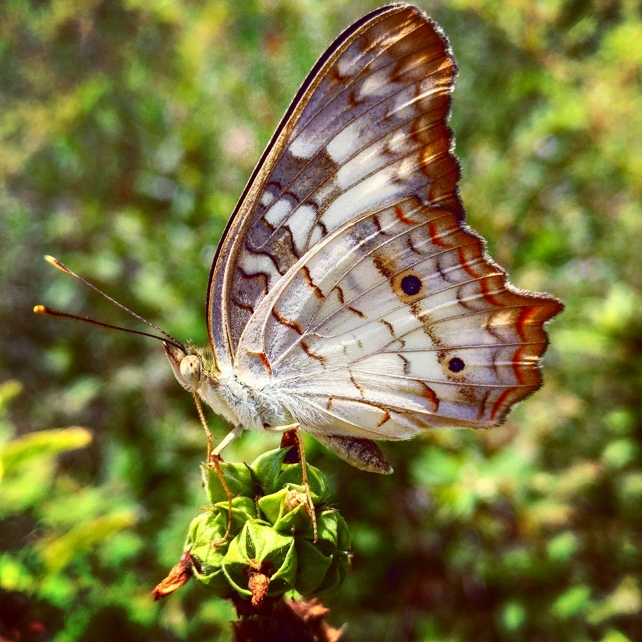 Free Unsplash photo from Álvaro Agap