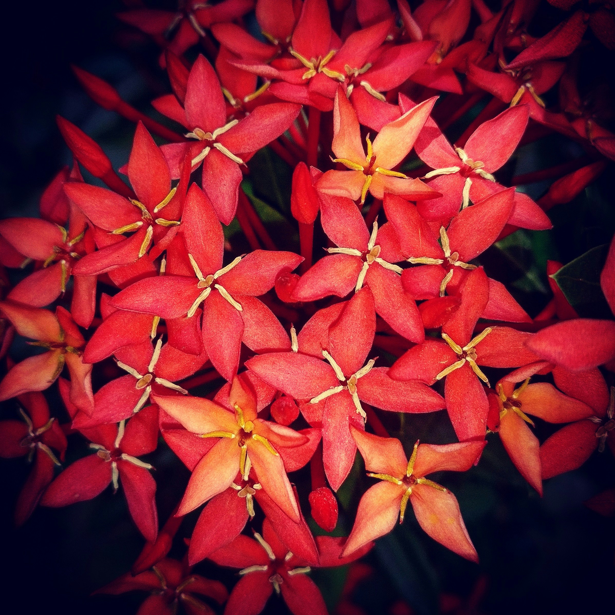 Free Unsplash photo from Álvaro Agap