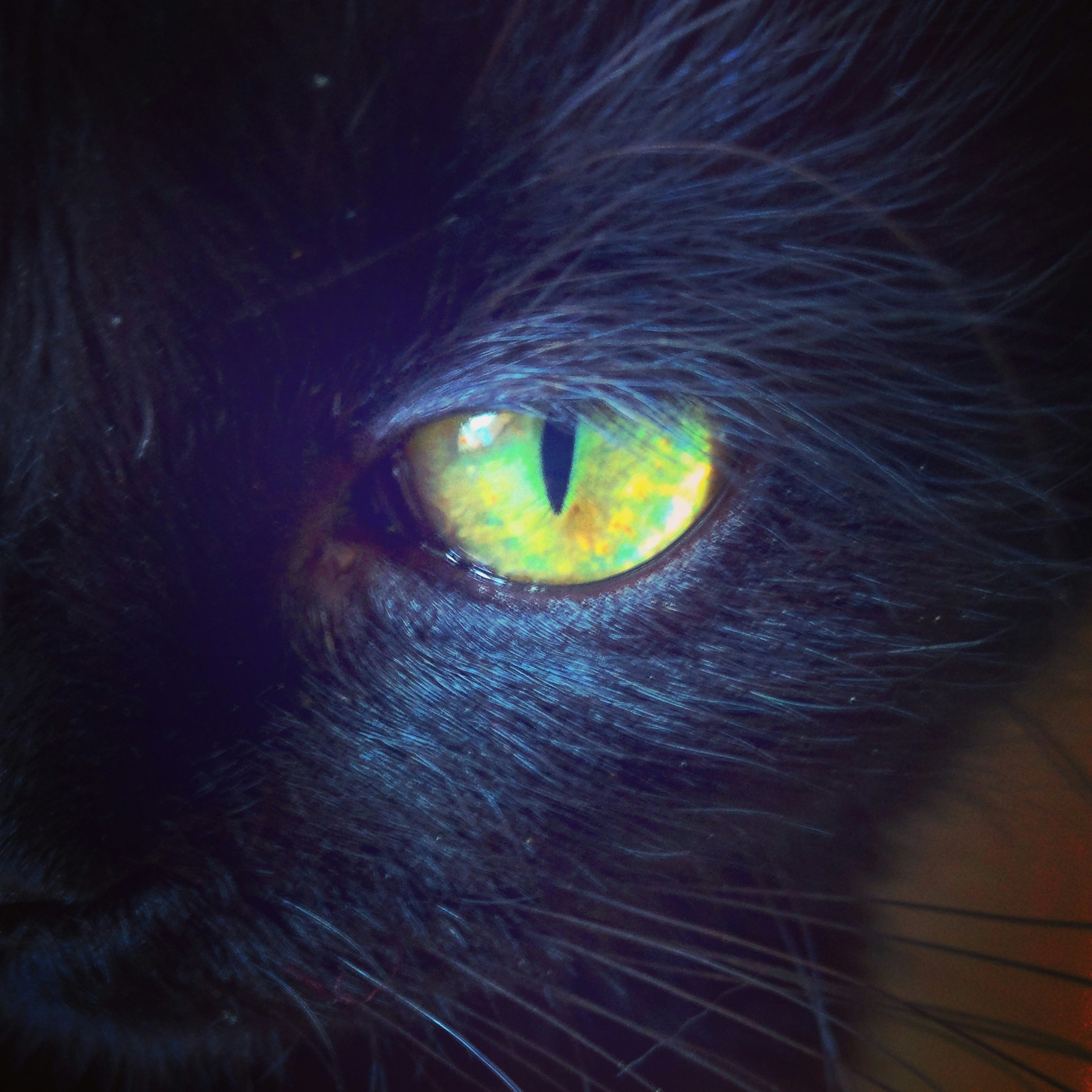 Free Unsplash photo from Álvaro Agap