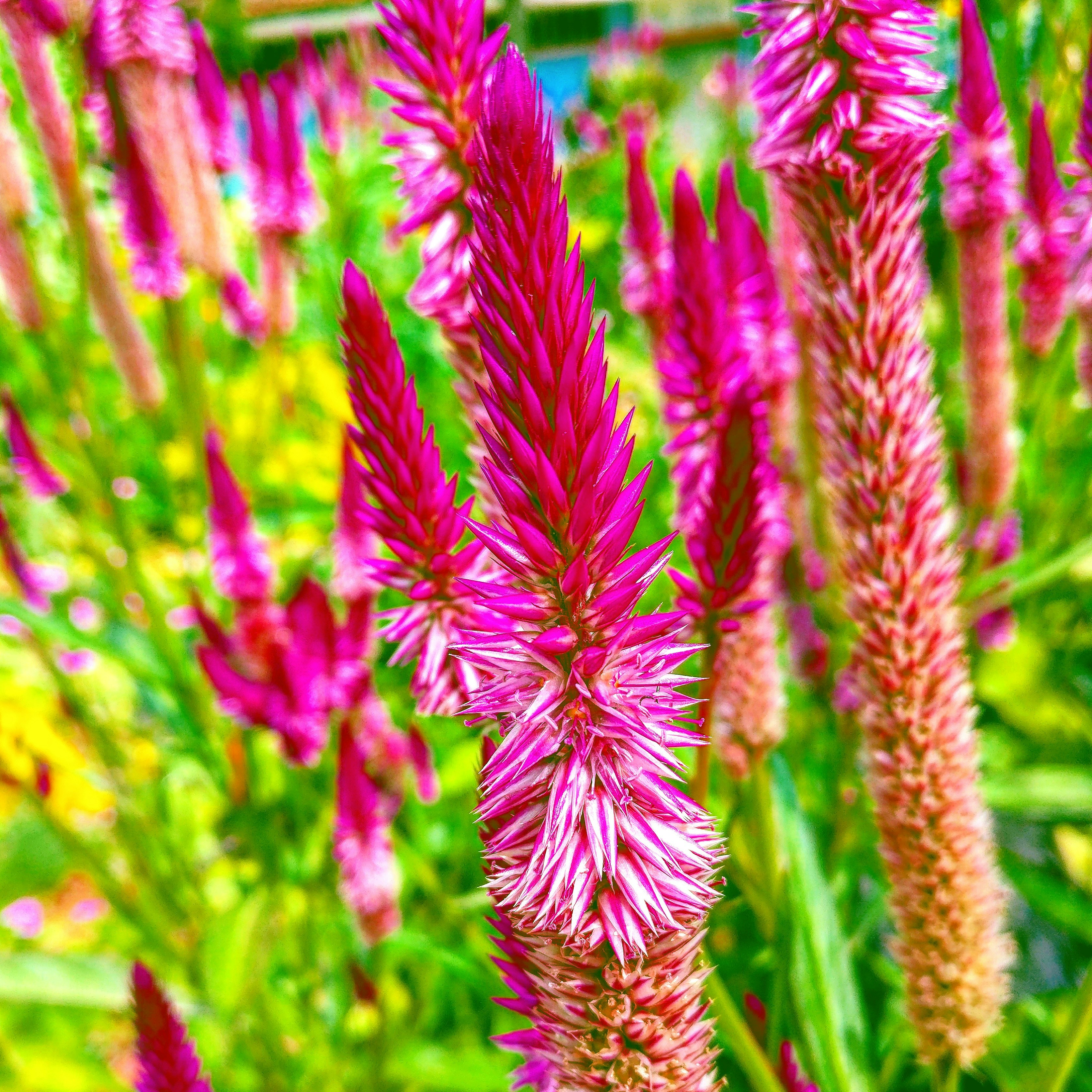 Free Unsplash photo from Álvaro Agap