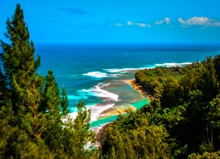 A scenic view of Ilha Grande coastline with lush greenery and clear blue waters.