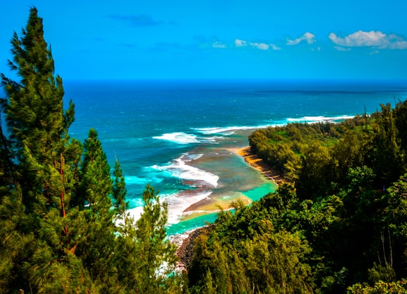A scenic view of Ilha Grande coastline with lush greenery and clear blue waters.