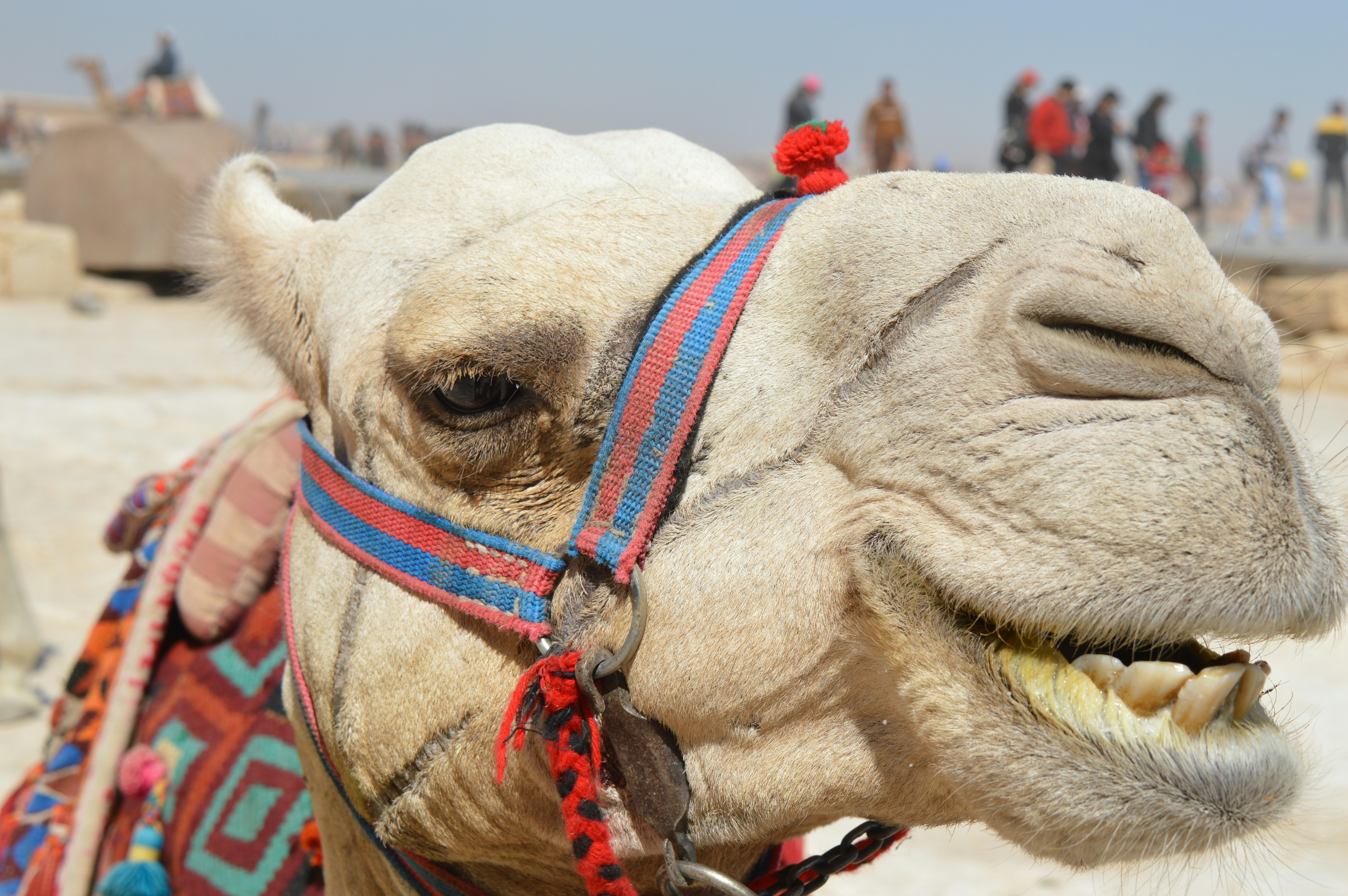 Free Unsplash photo from youssef amer