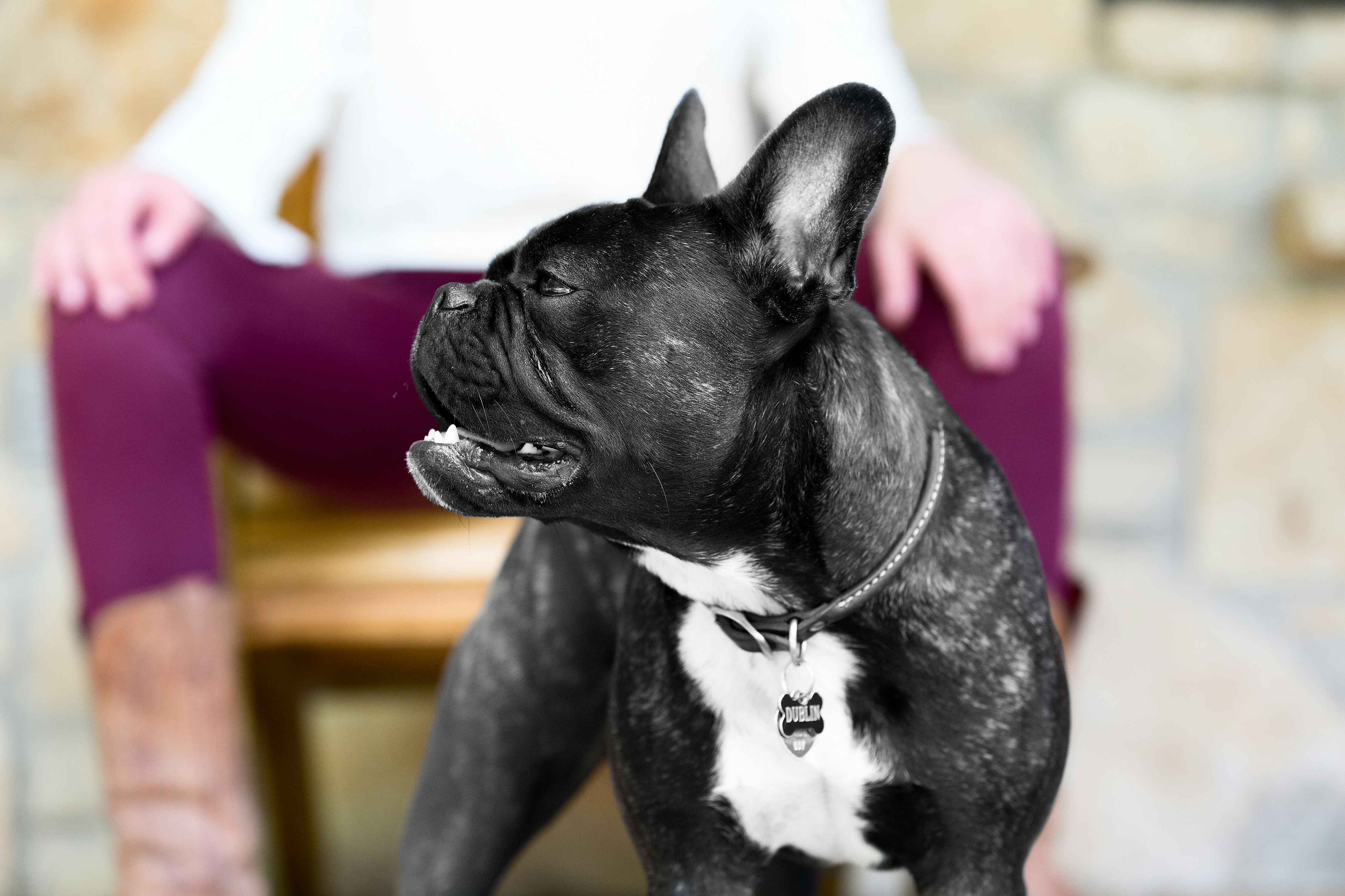 Free Unsplash photo from Ayo Ogunseinde