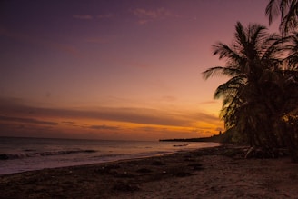 Colorful beach with palm trees and clear blue water at sunset
