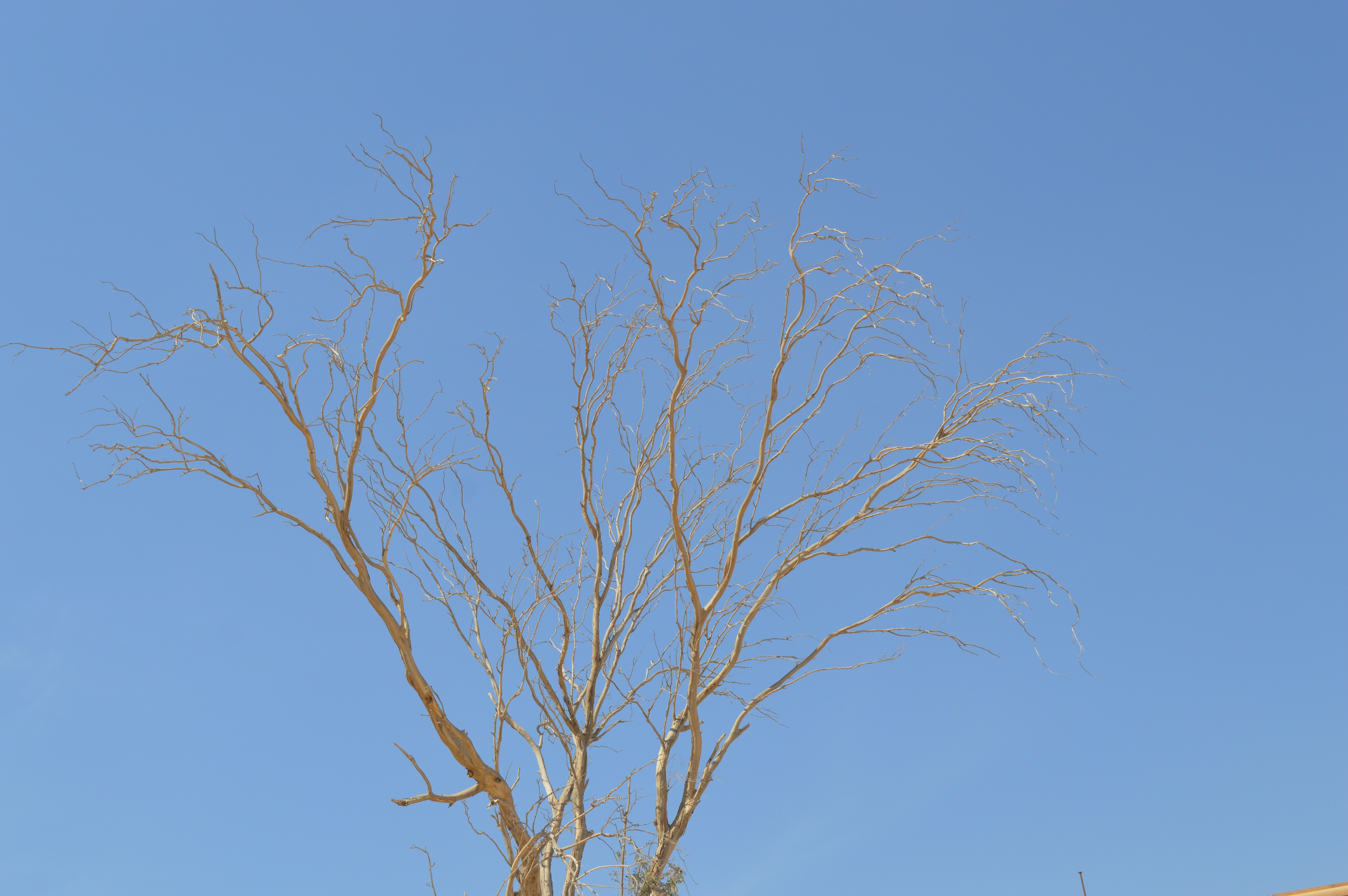 Free Unsplash photo from youssef amer