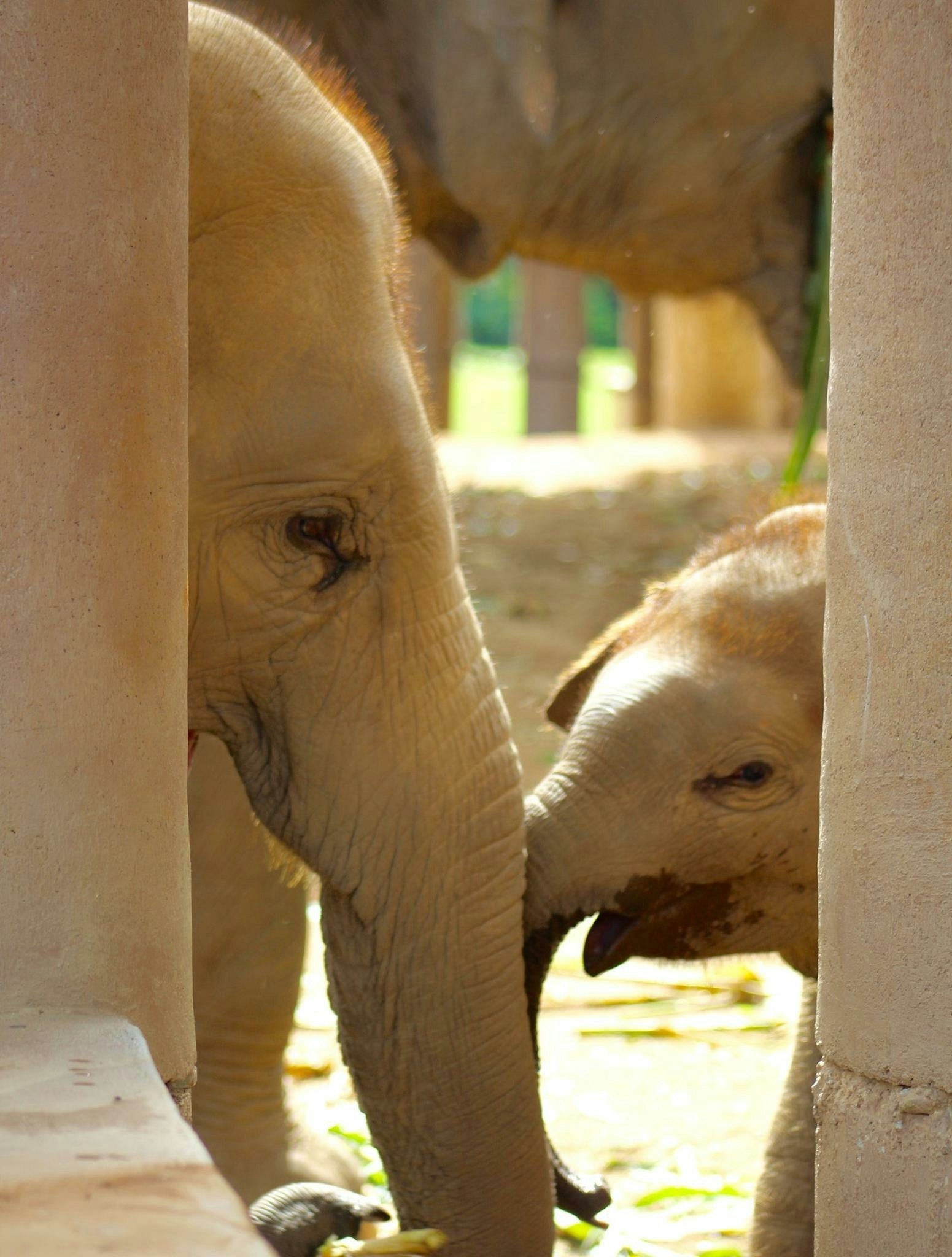 Free Unsplash photo from Miranda Blehm