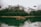 A serene landscape featuring a misty lake surrounded by tall pine trees at dawn.