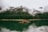 A serene landscape featuring a misty lake surrounded by tall pine trees at dawn.